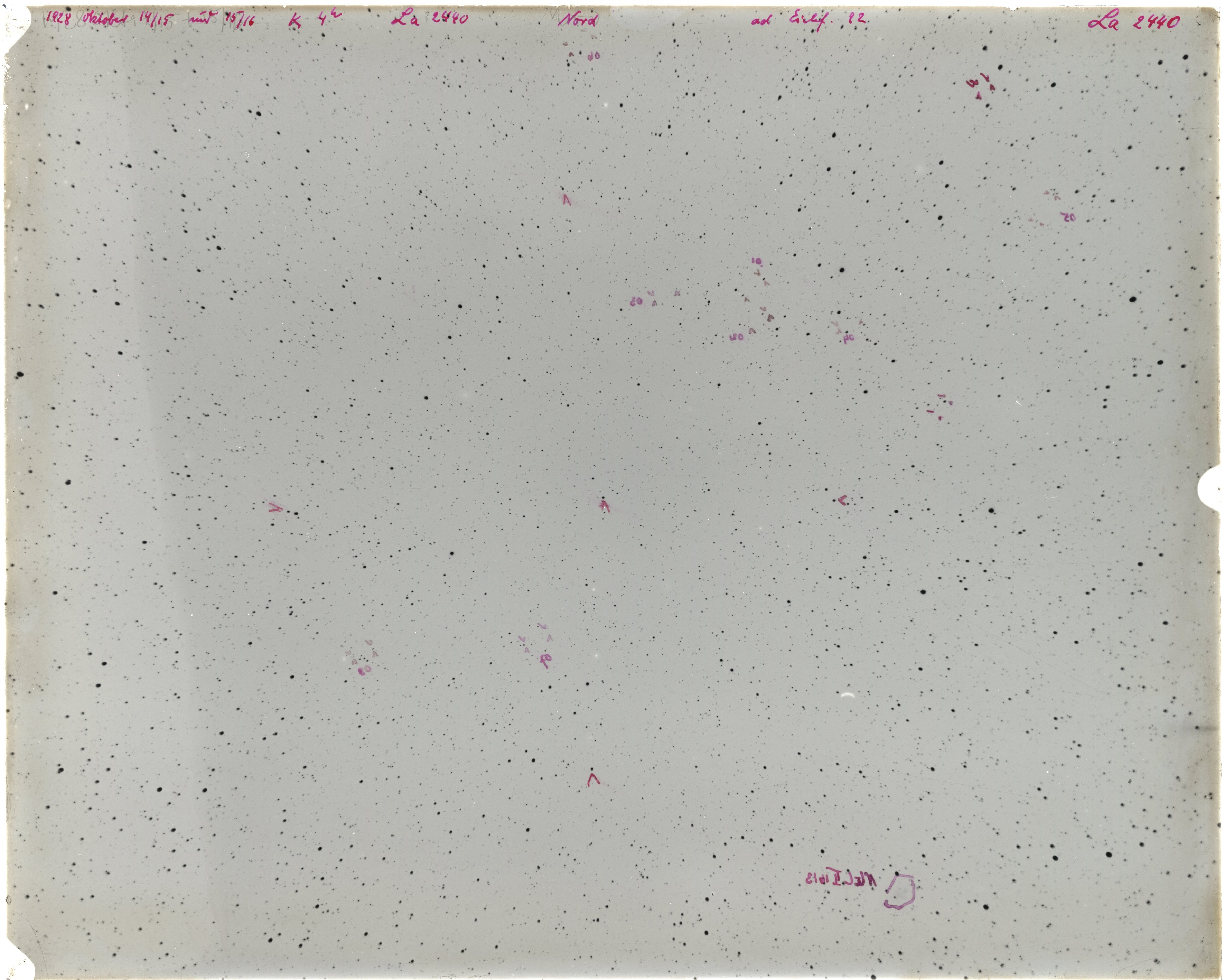 Scan LA02440