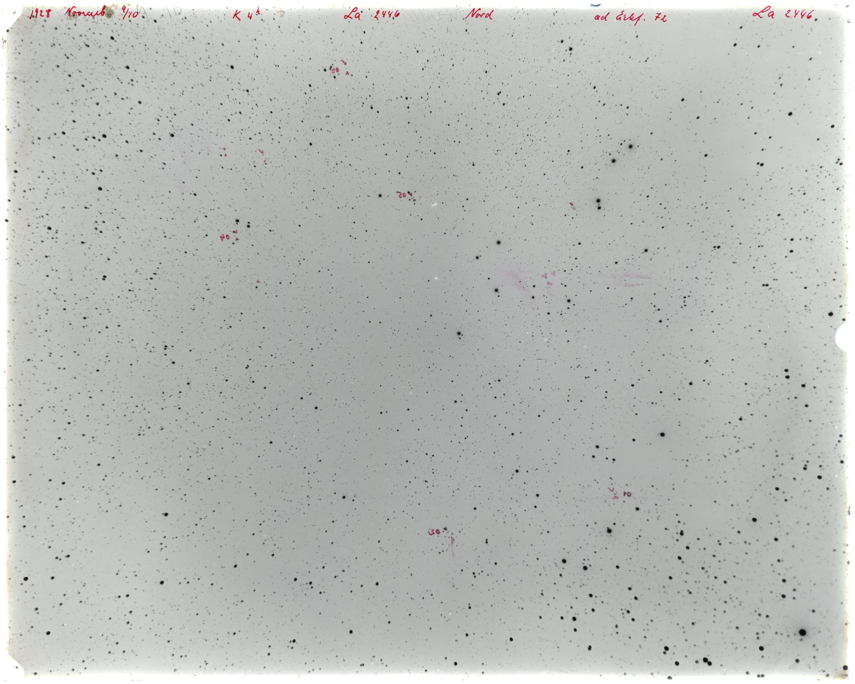 Scan LA02446