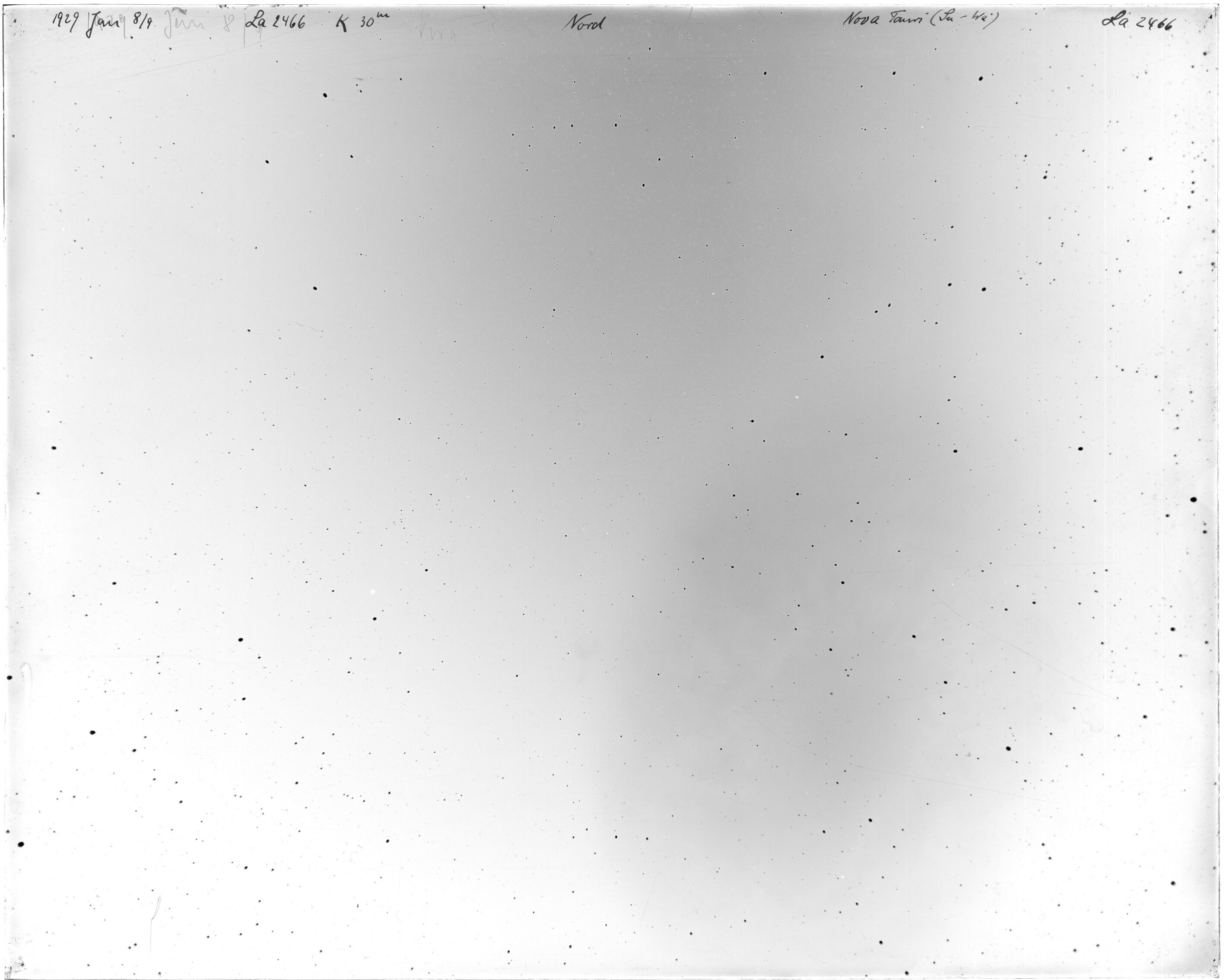 Scan LA02466