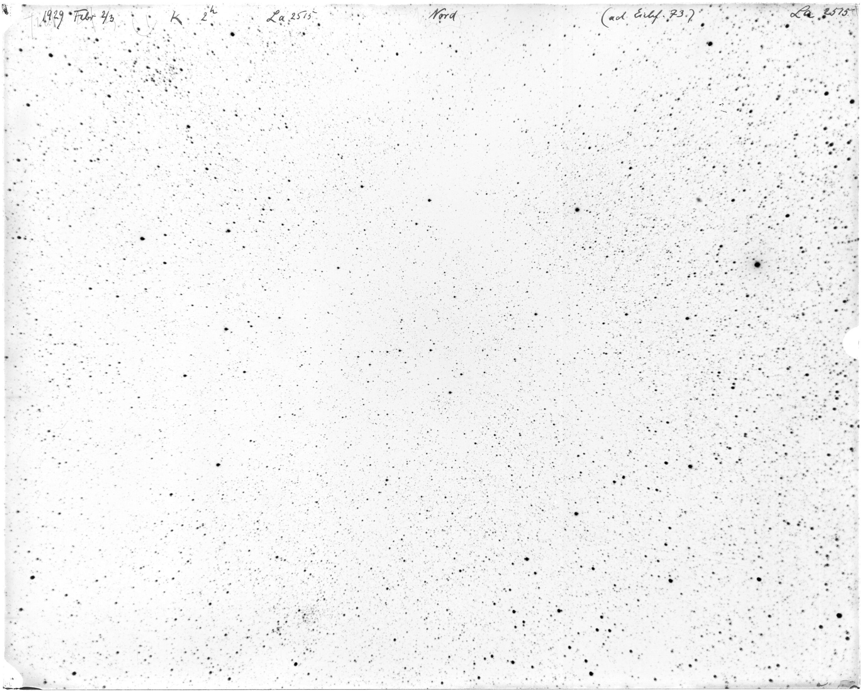 Scan LA02515