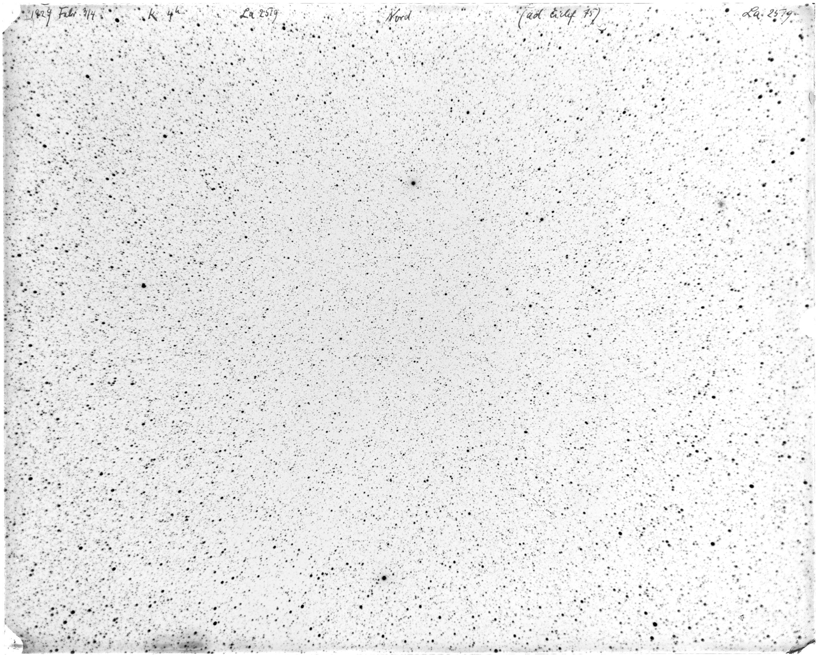Scan LA02519