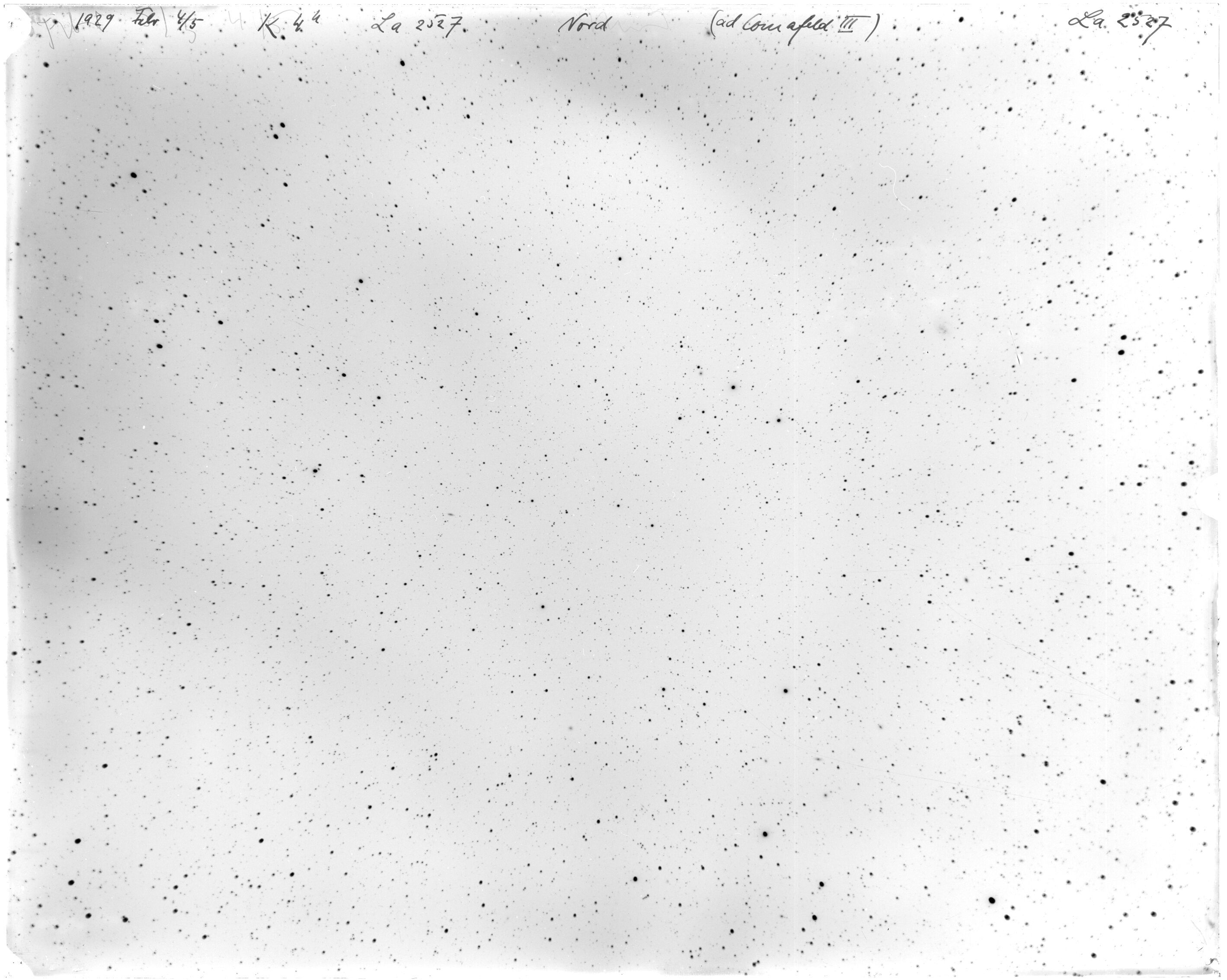 Scan LA02527