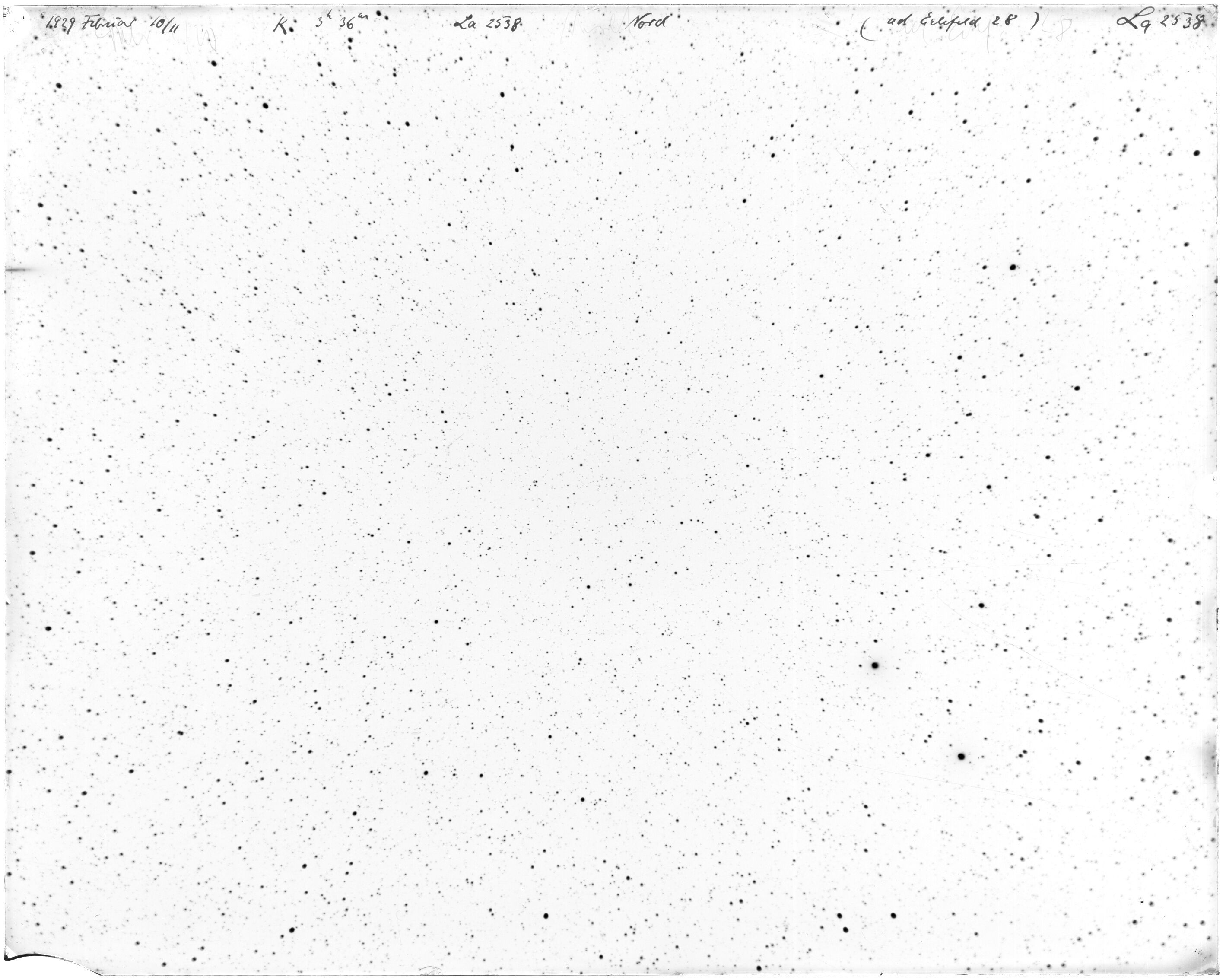 Scan LA02538