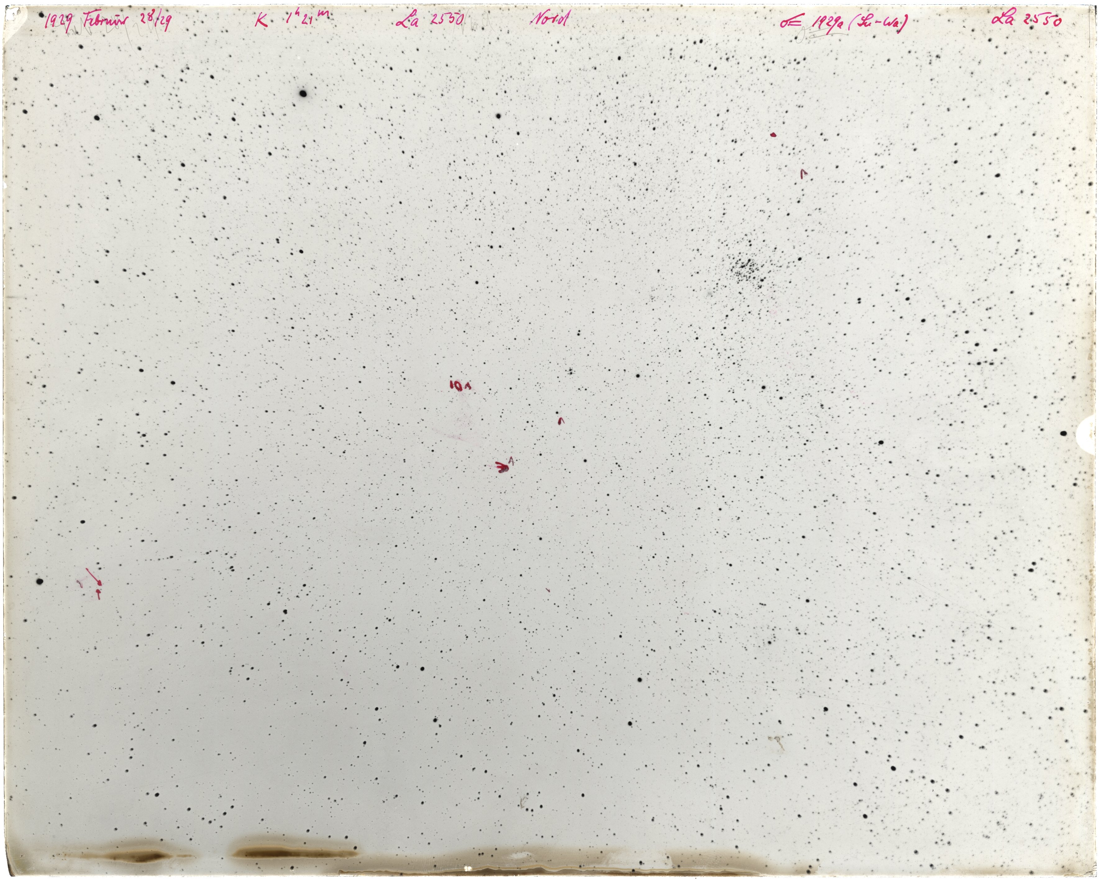 Scan LA02550