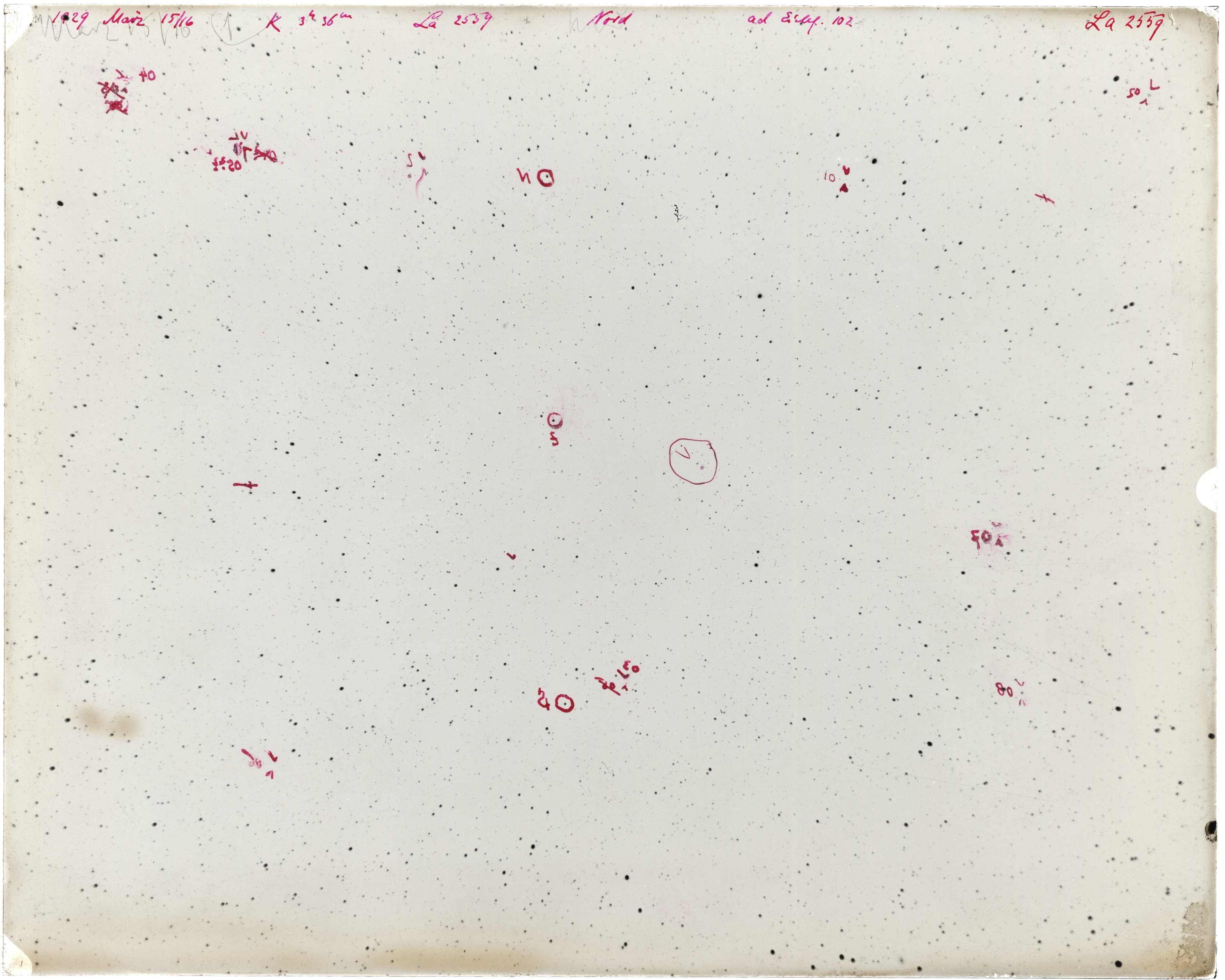 Scan LA02559