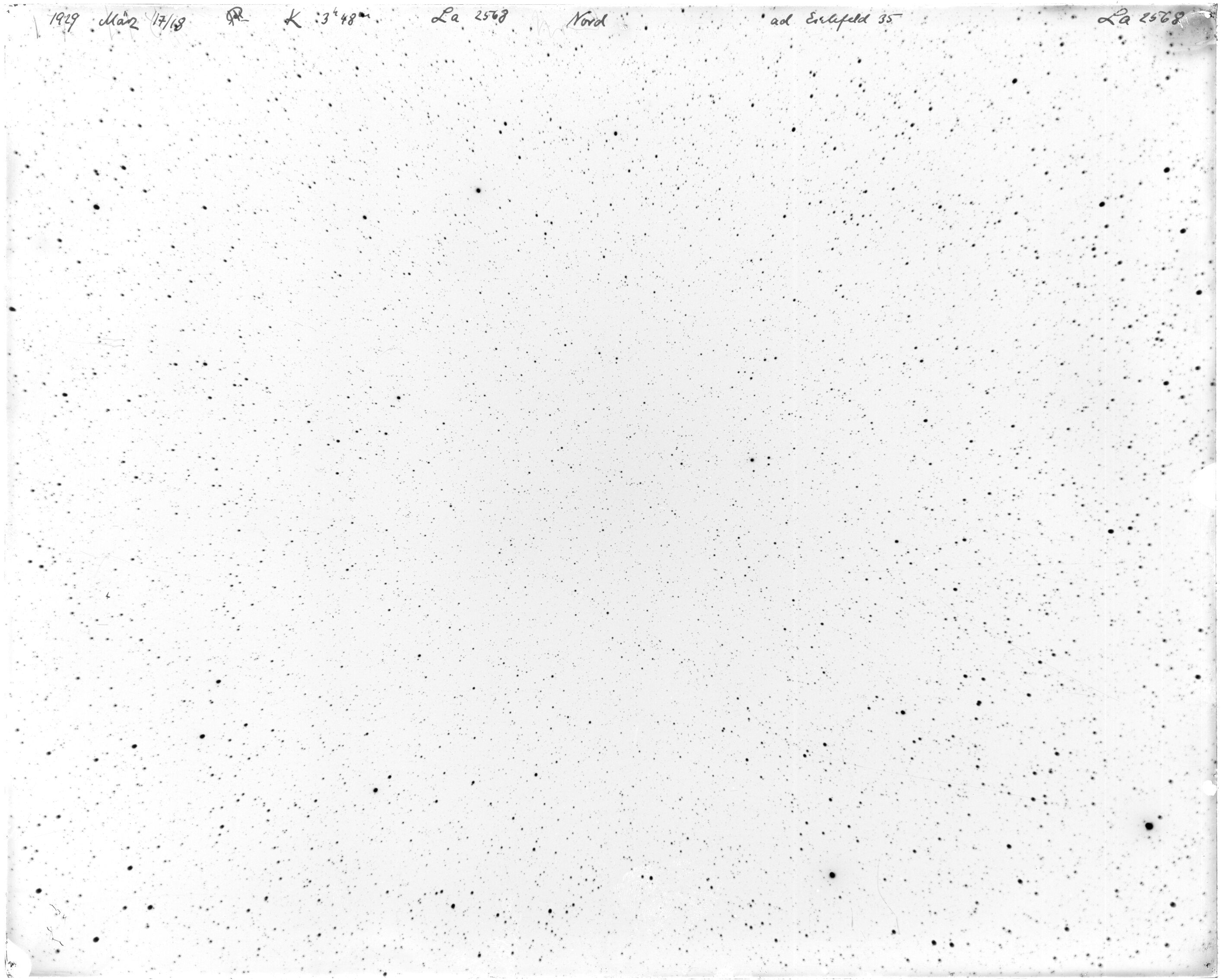 Scan LA02568