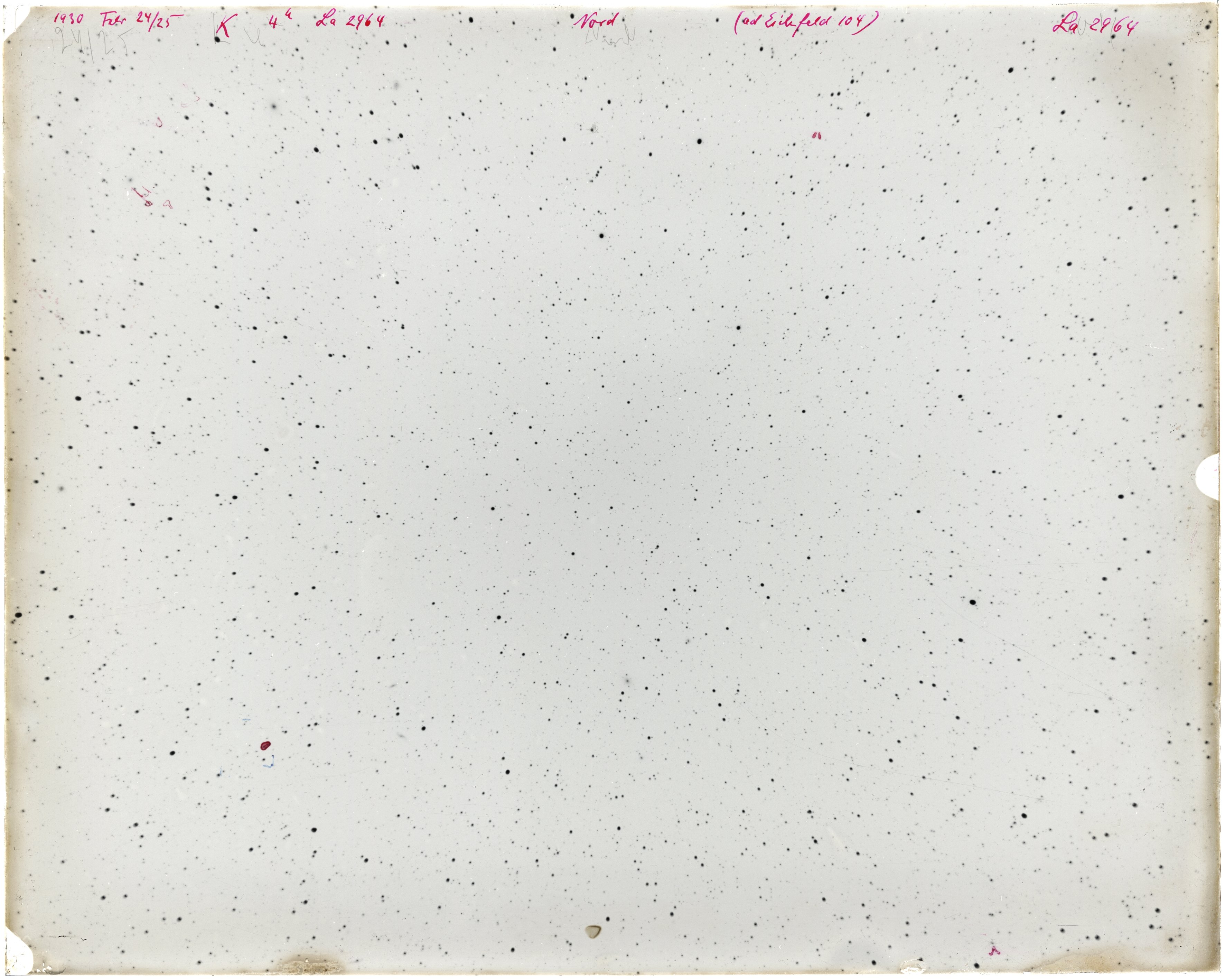 Scan LA02964