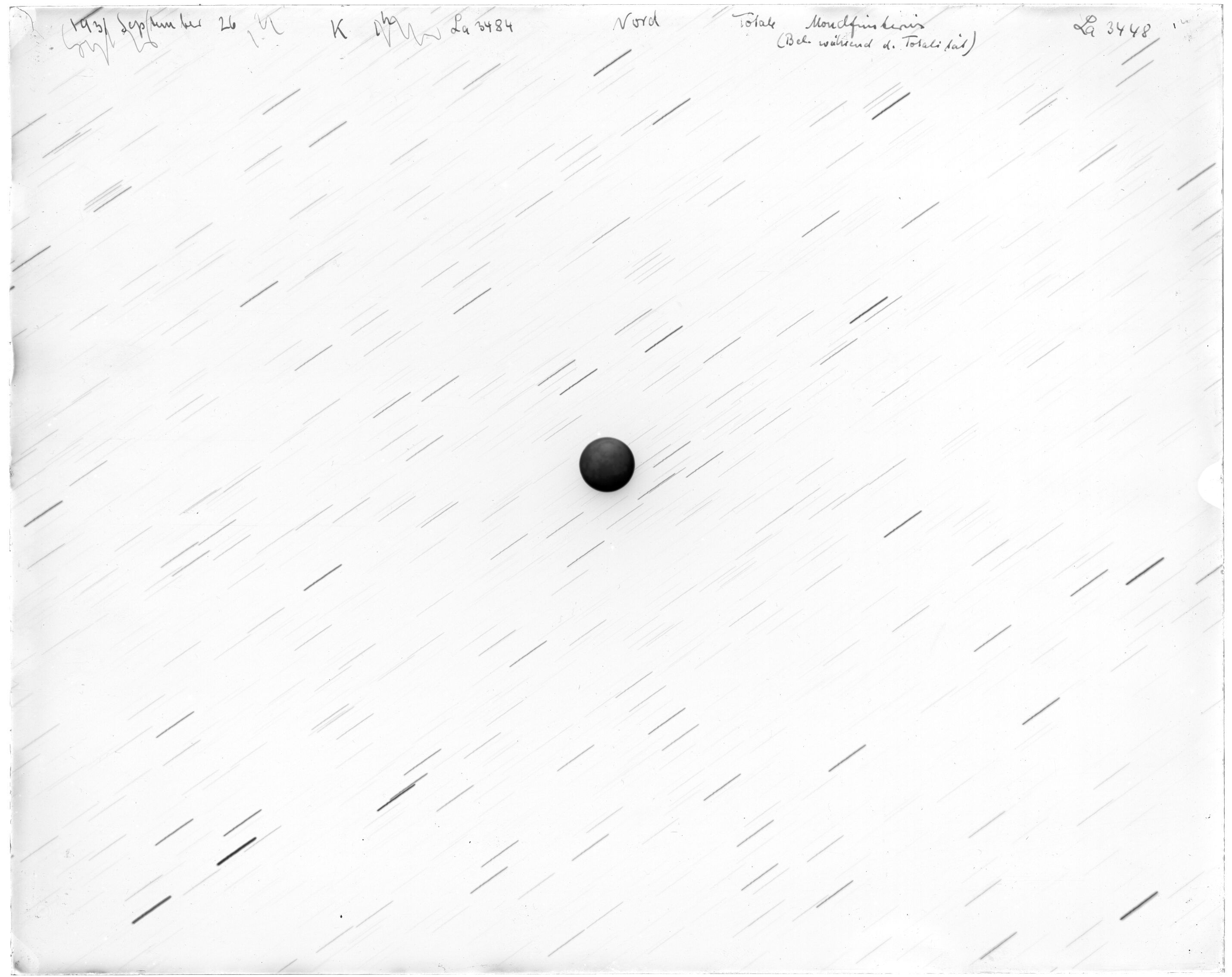 Scan LA03484