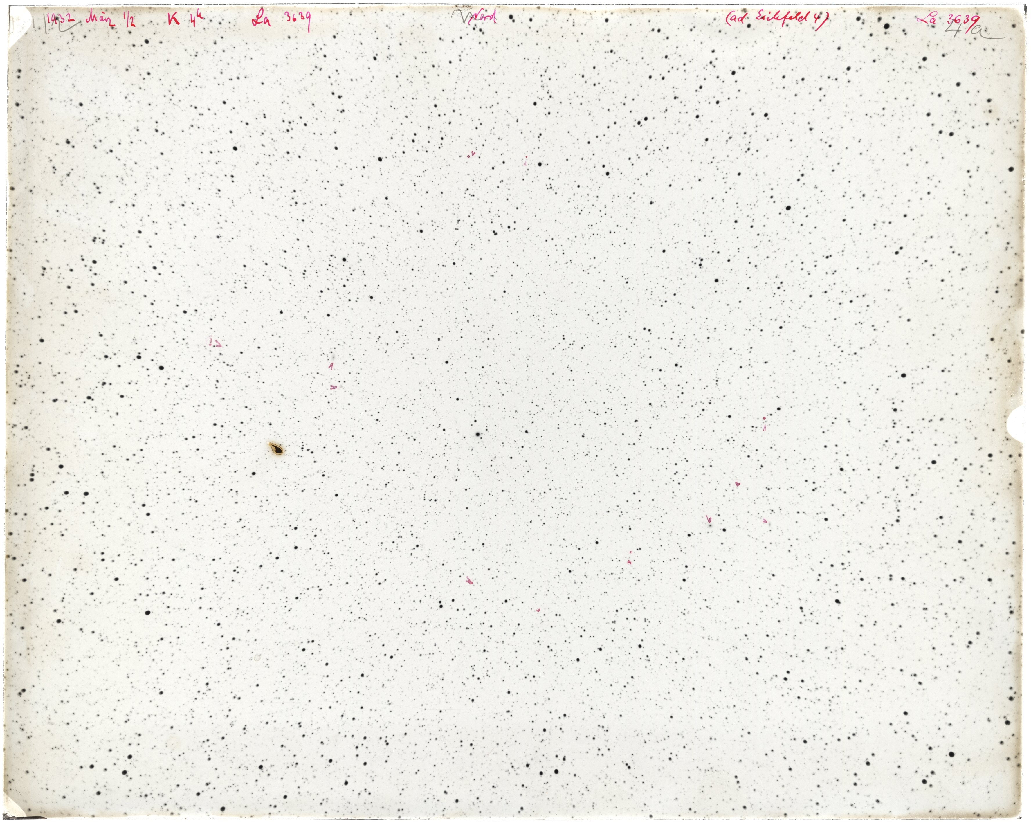 Scan LA03639