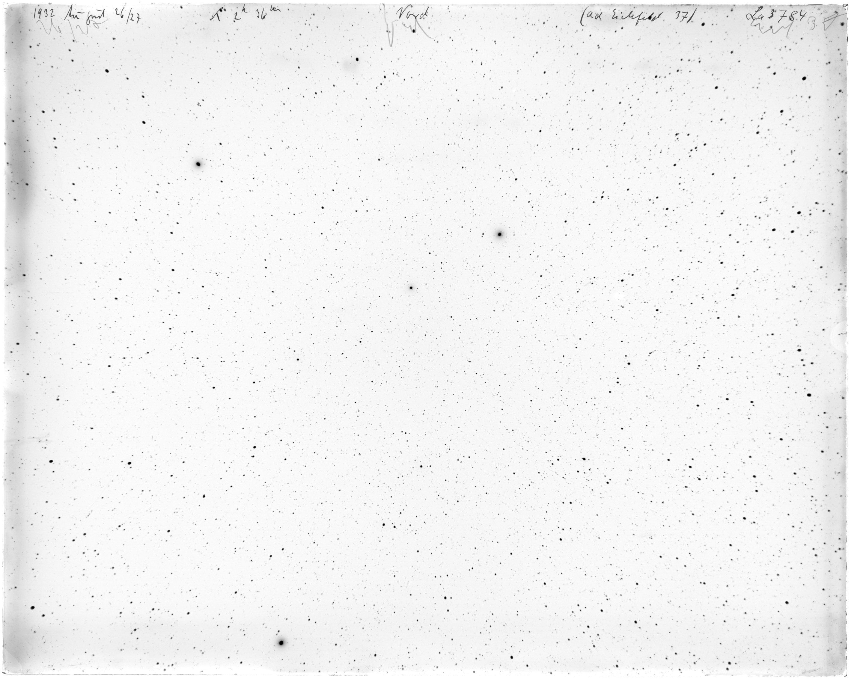 Scan LA03784
