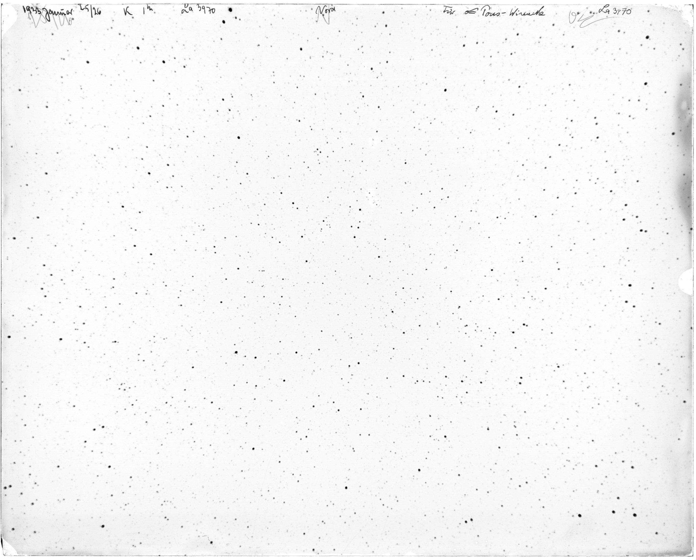 Scan LA03970