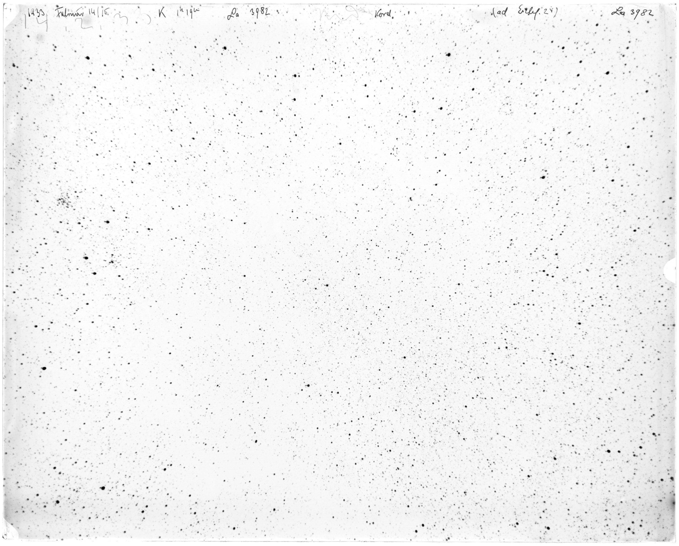 Scan LA03982
