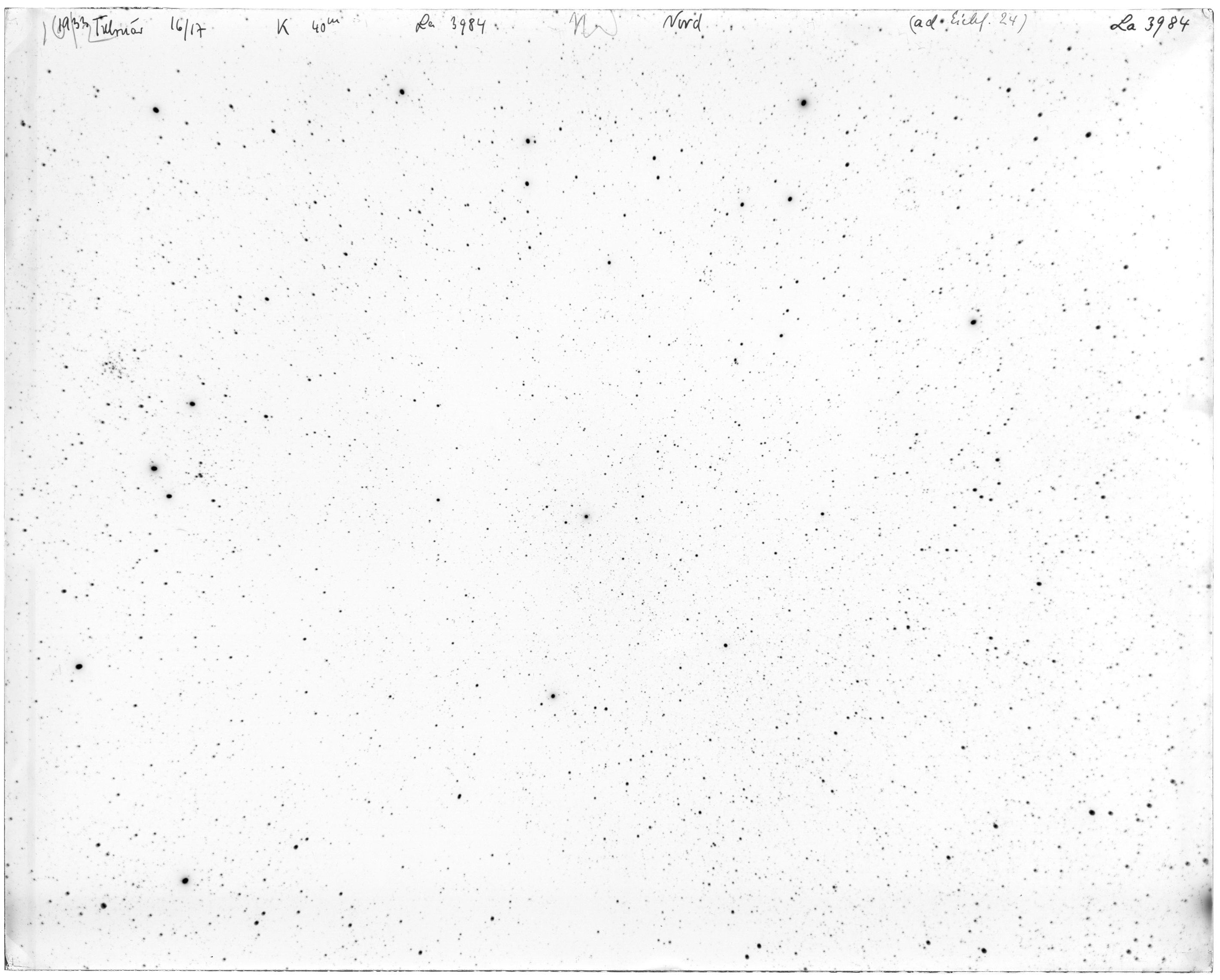 Scan LA03984