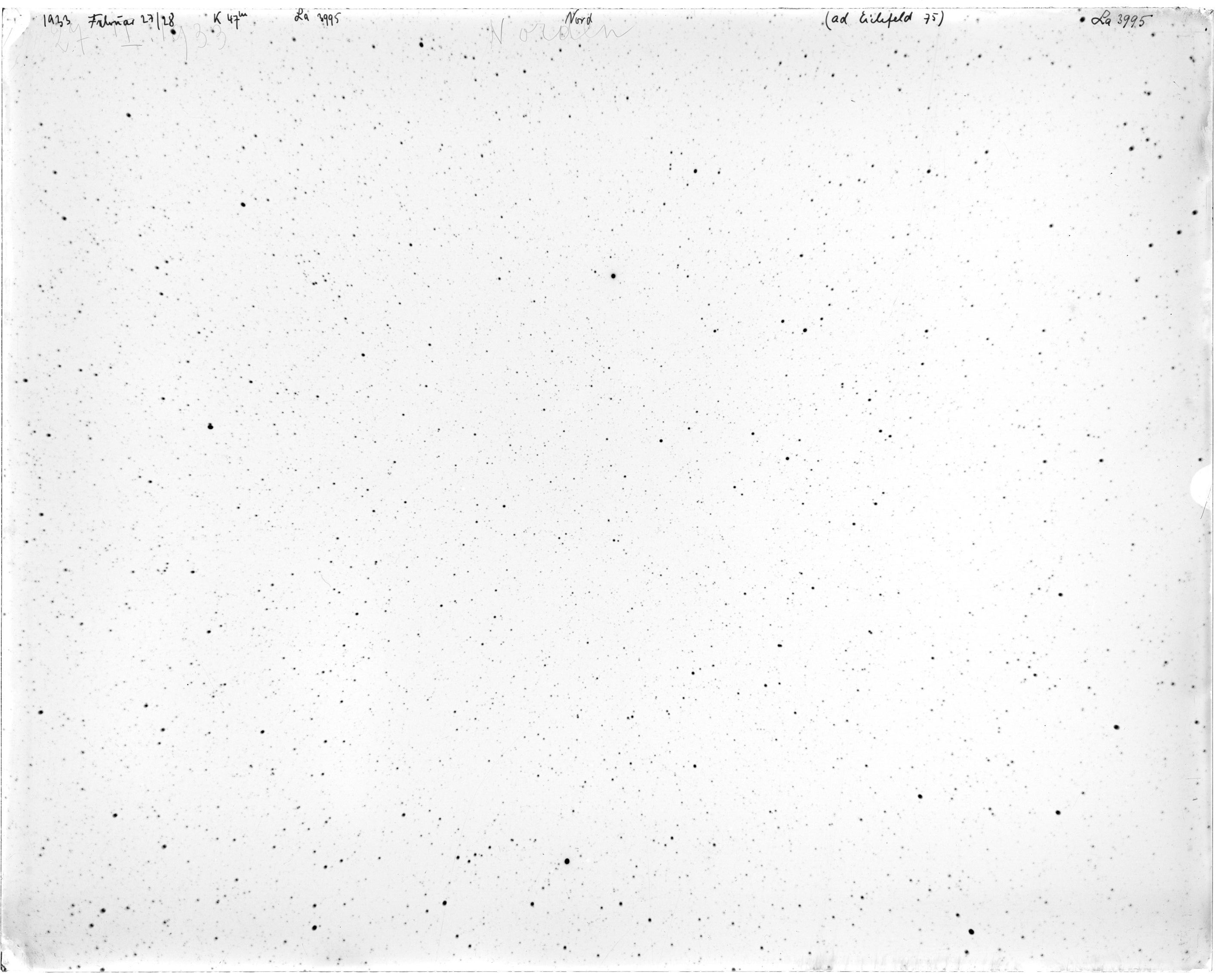 Scan LA03995