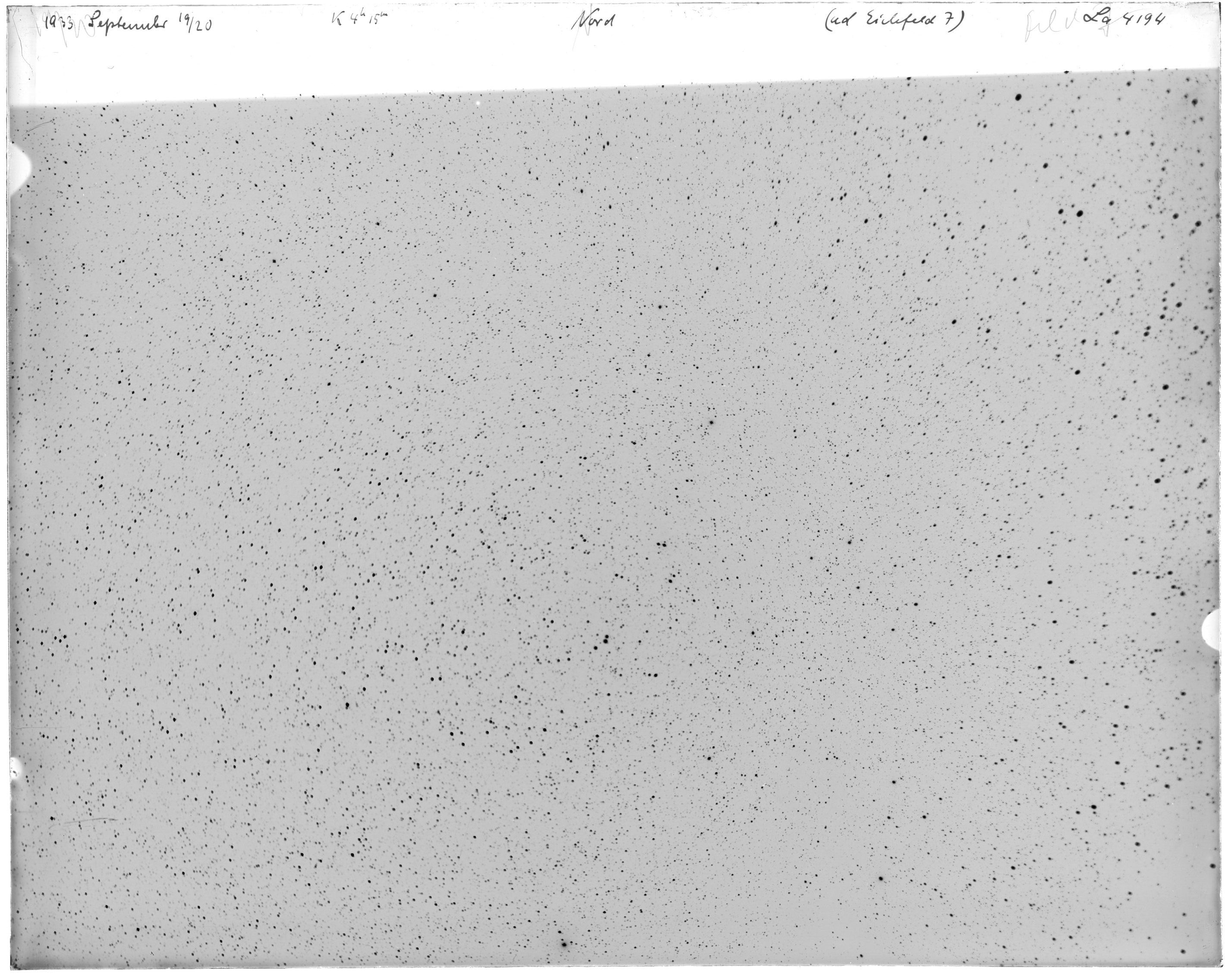 Scan LA04194
