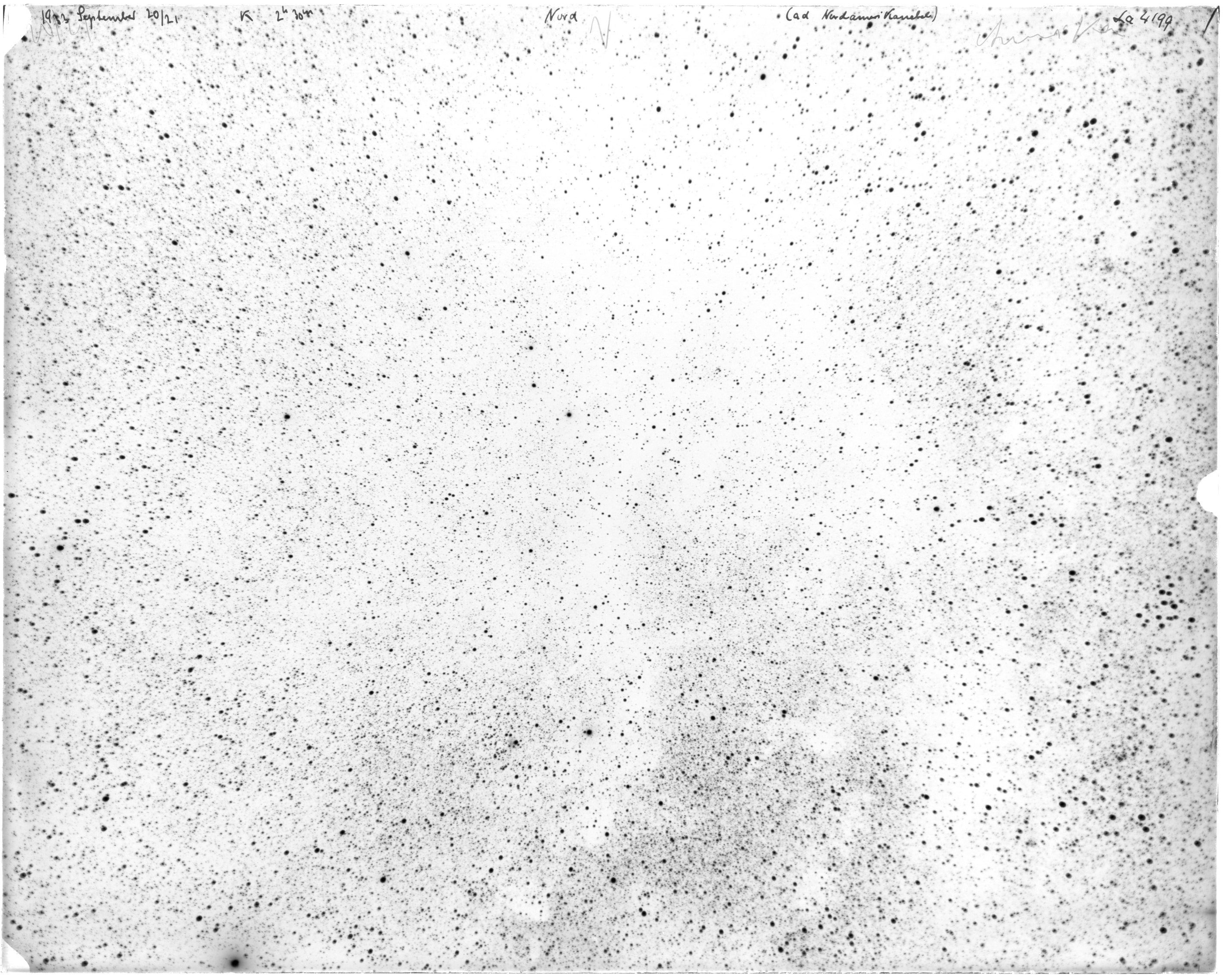 Scan LA04199