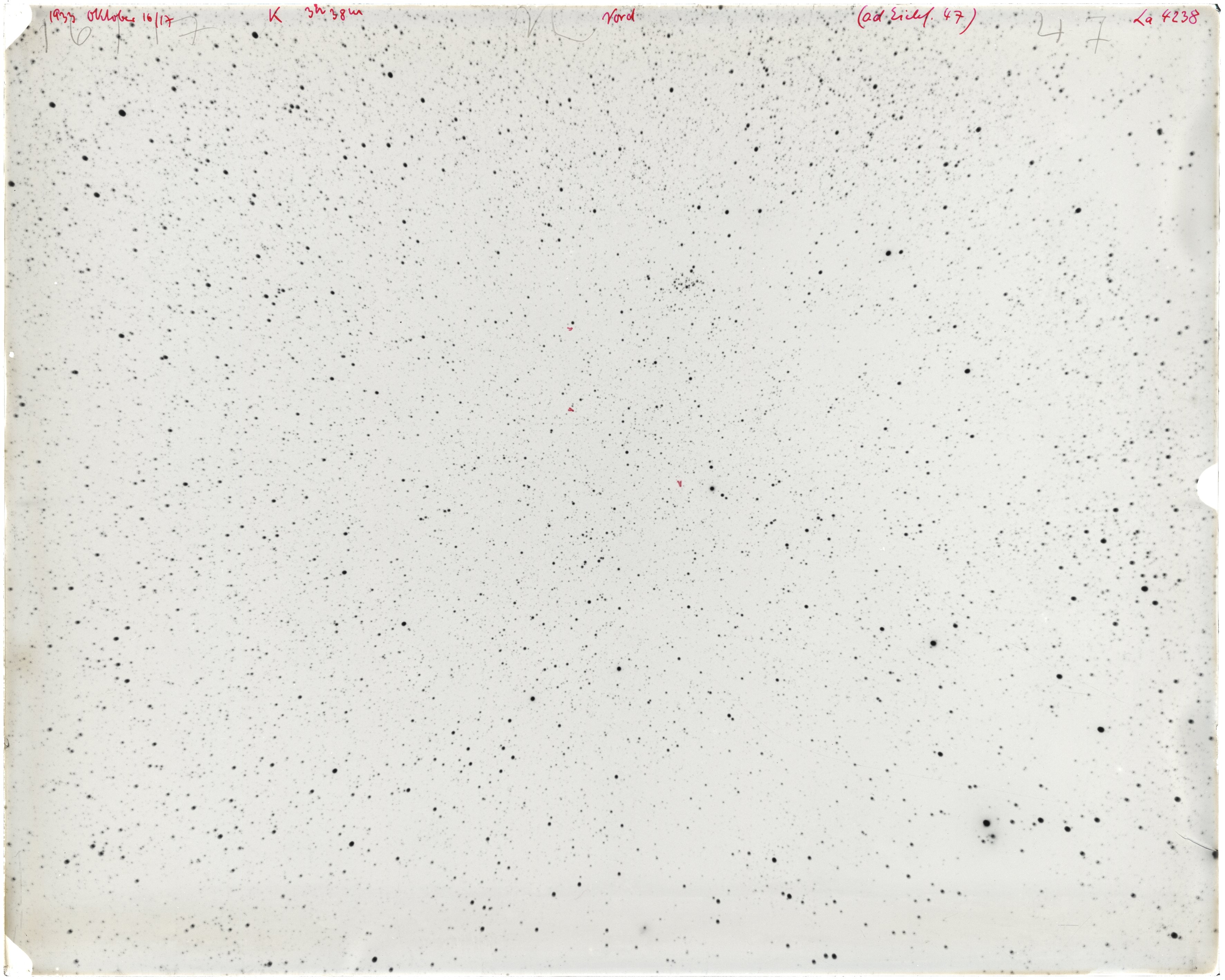 Scan LA04238