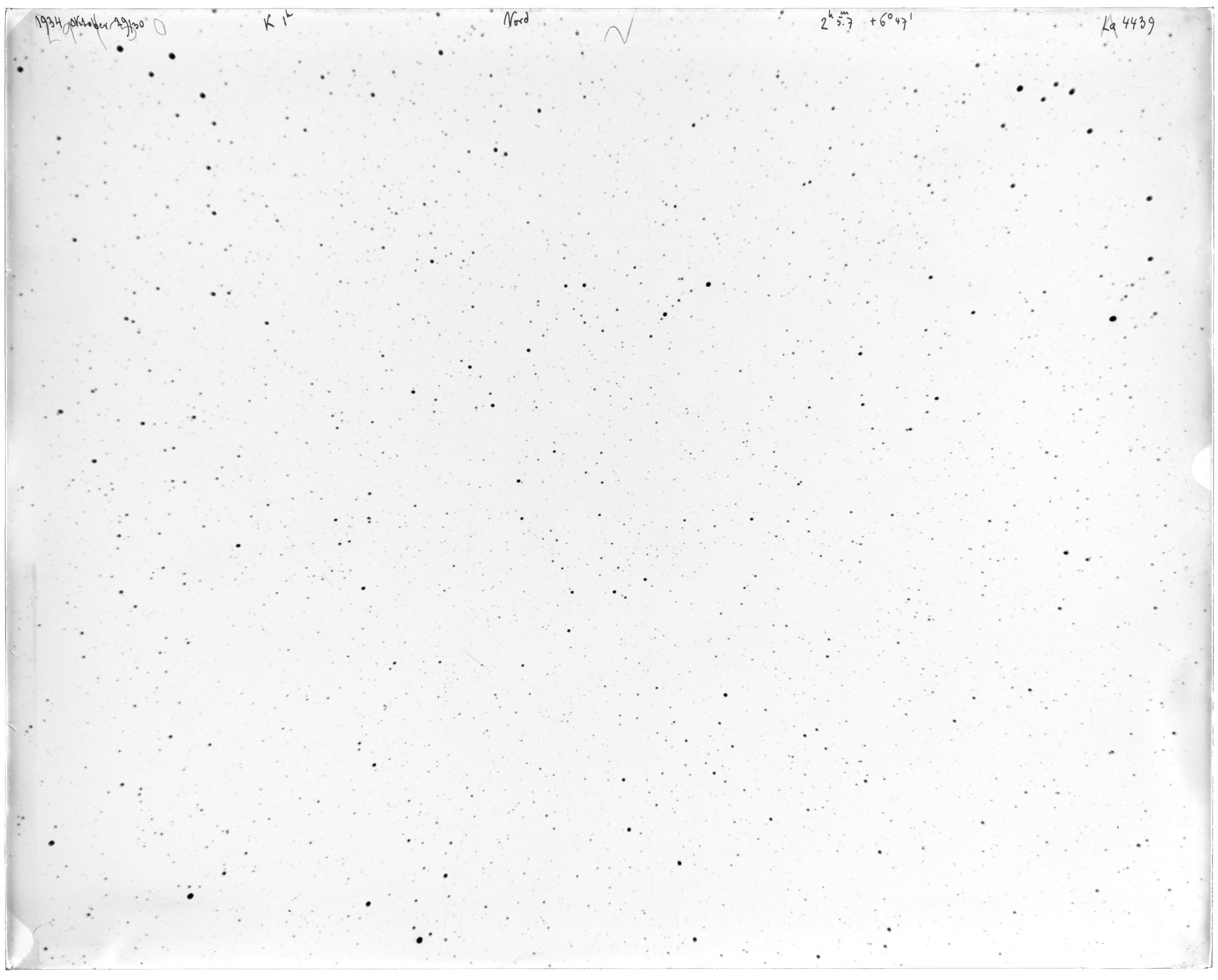 Scan LA04439