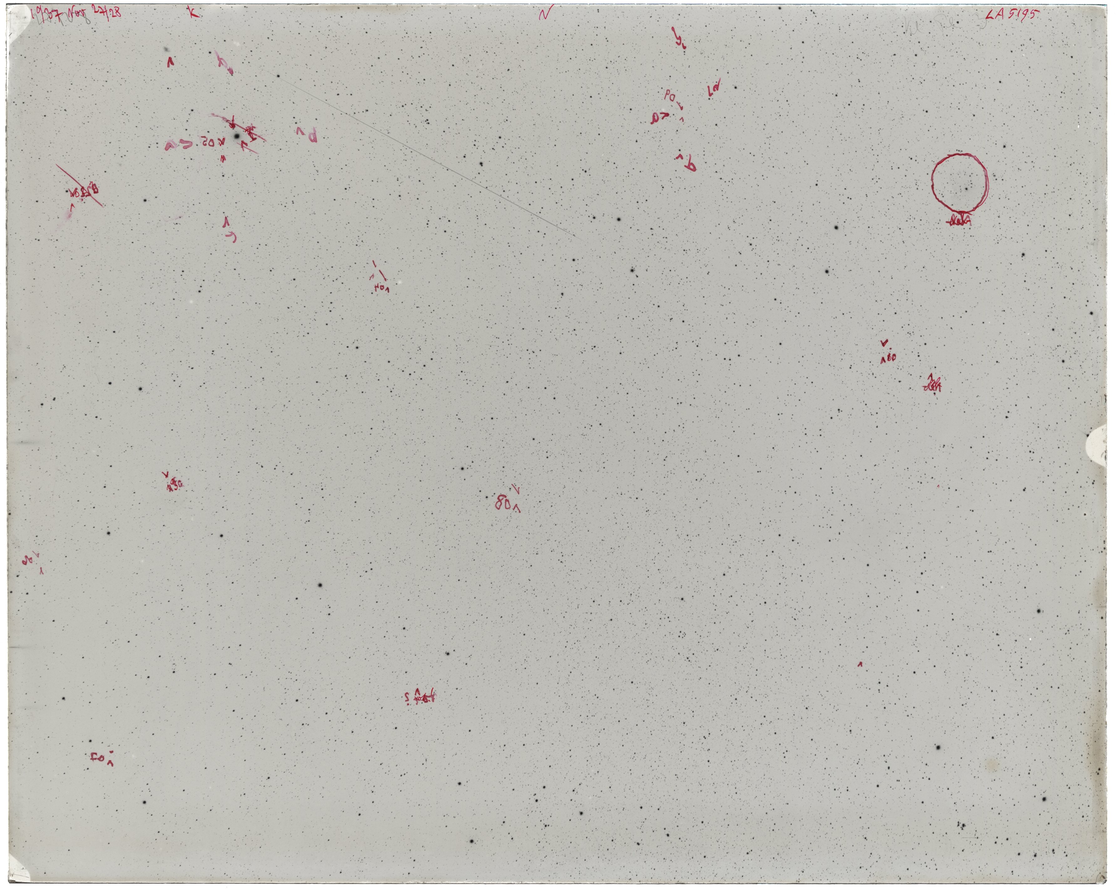 Scan LA05195
