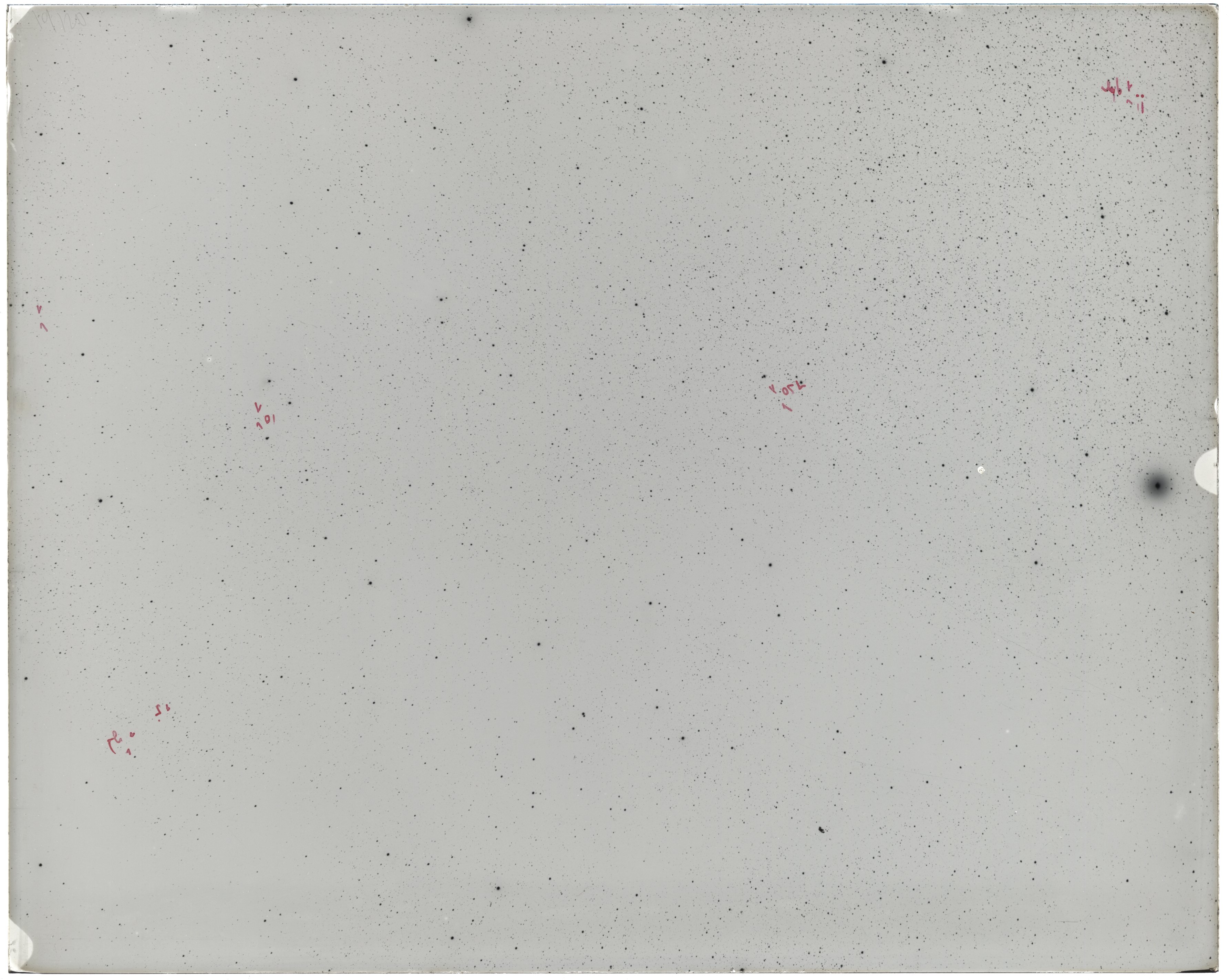 Scan LA05258