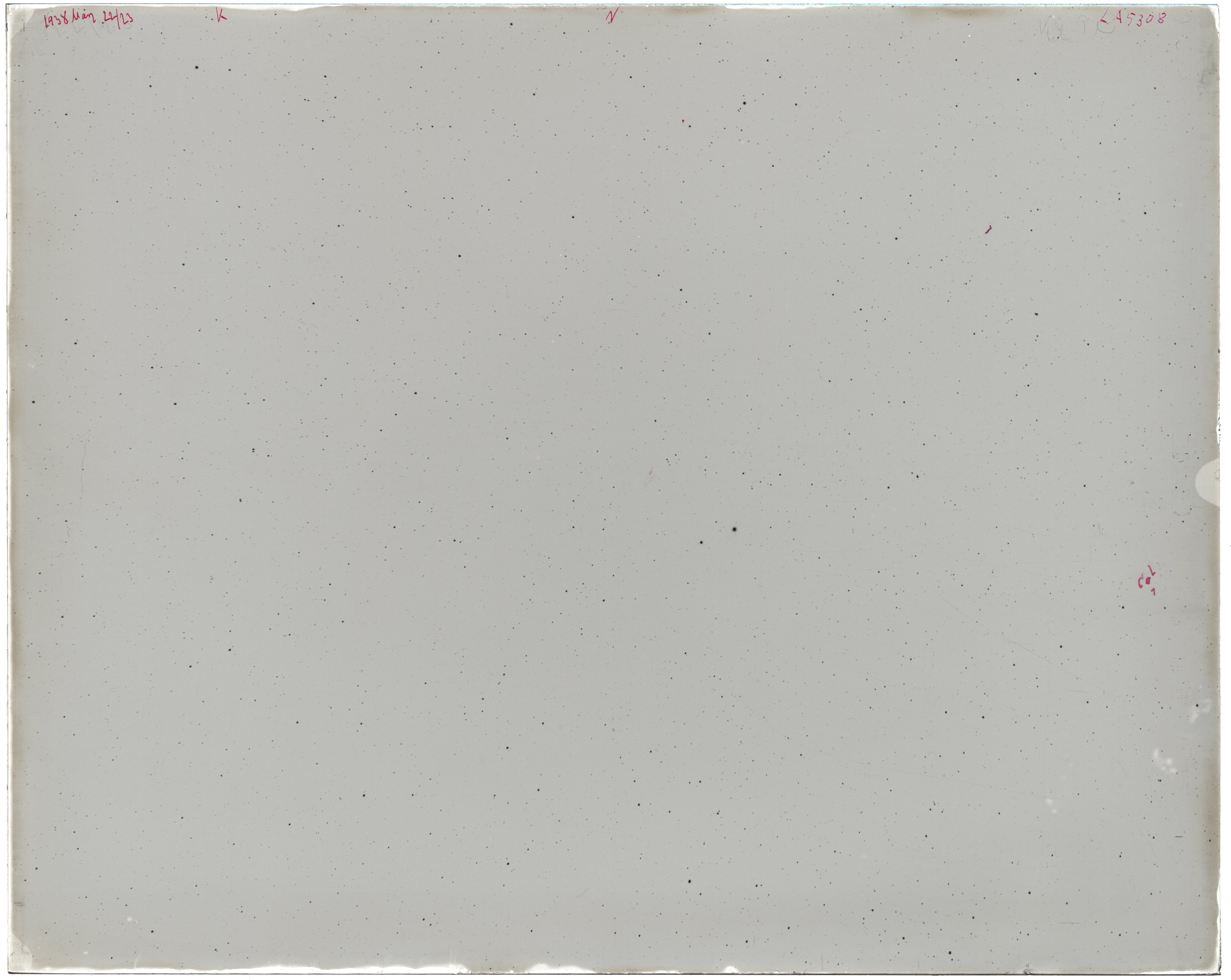 Scan LA05308