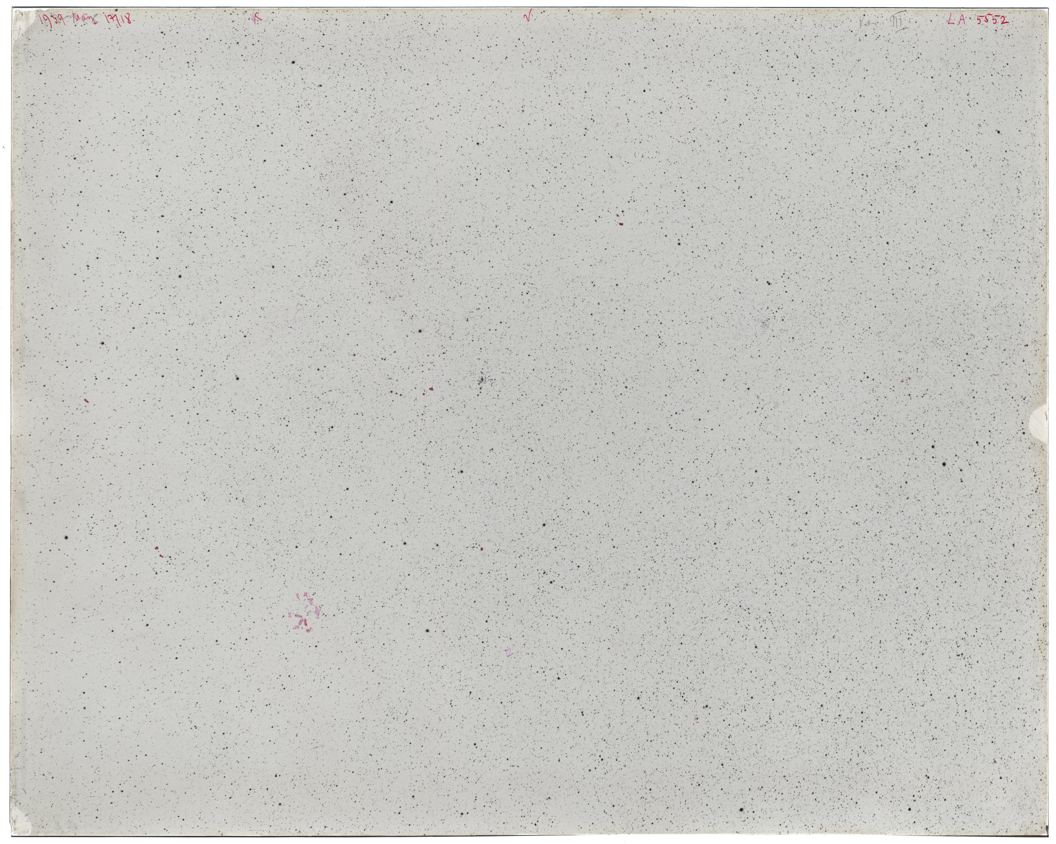 Scan LA05552