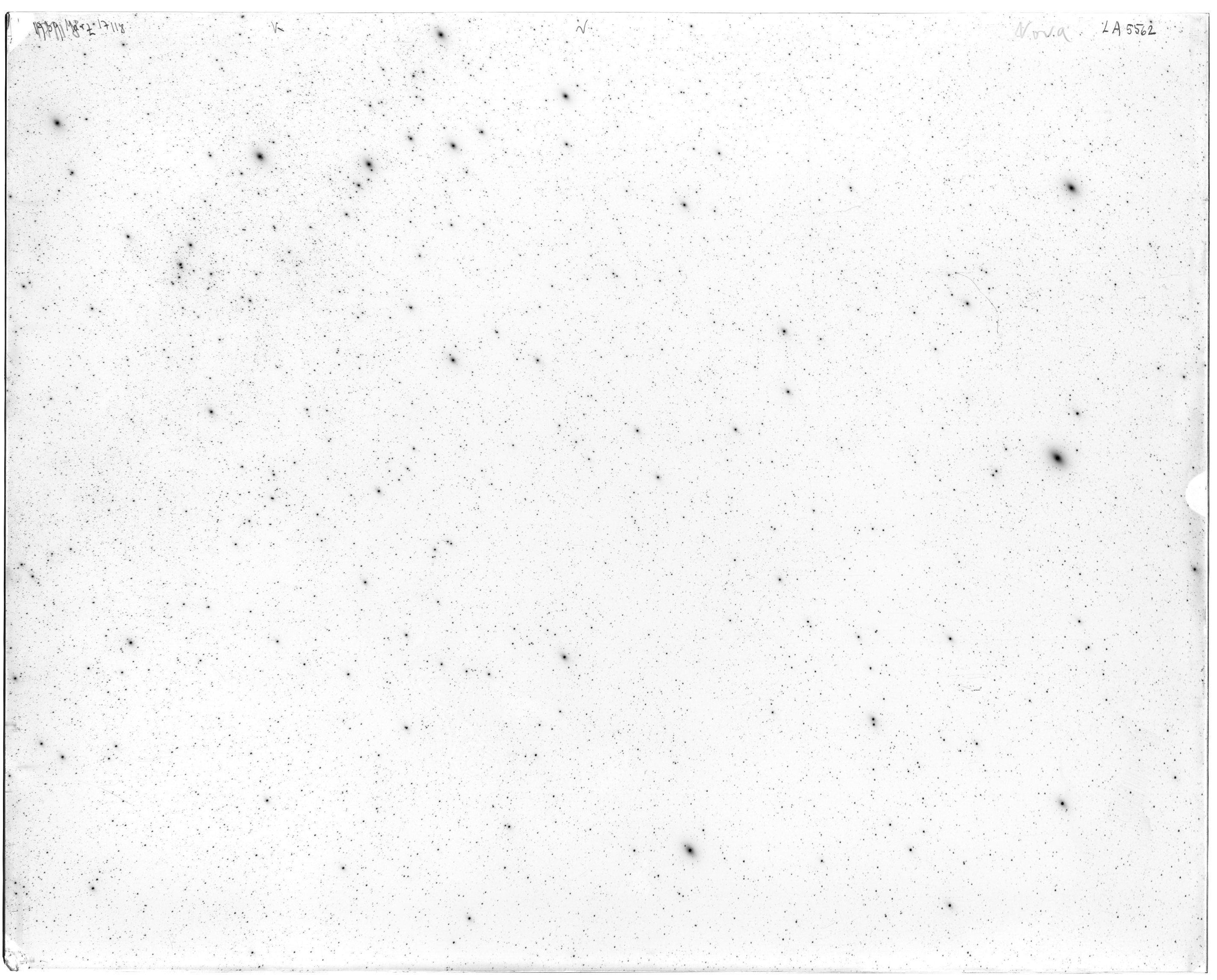 Scan LA05562