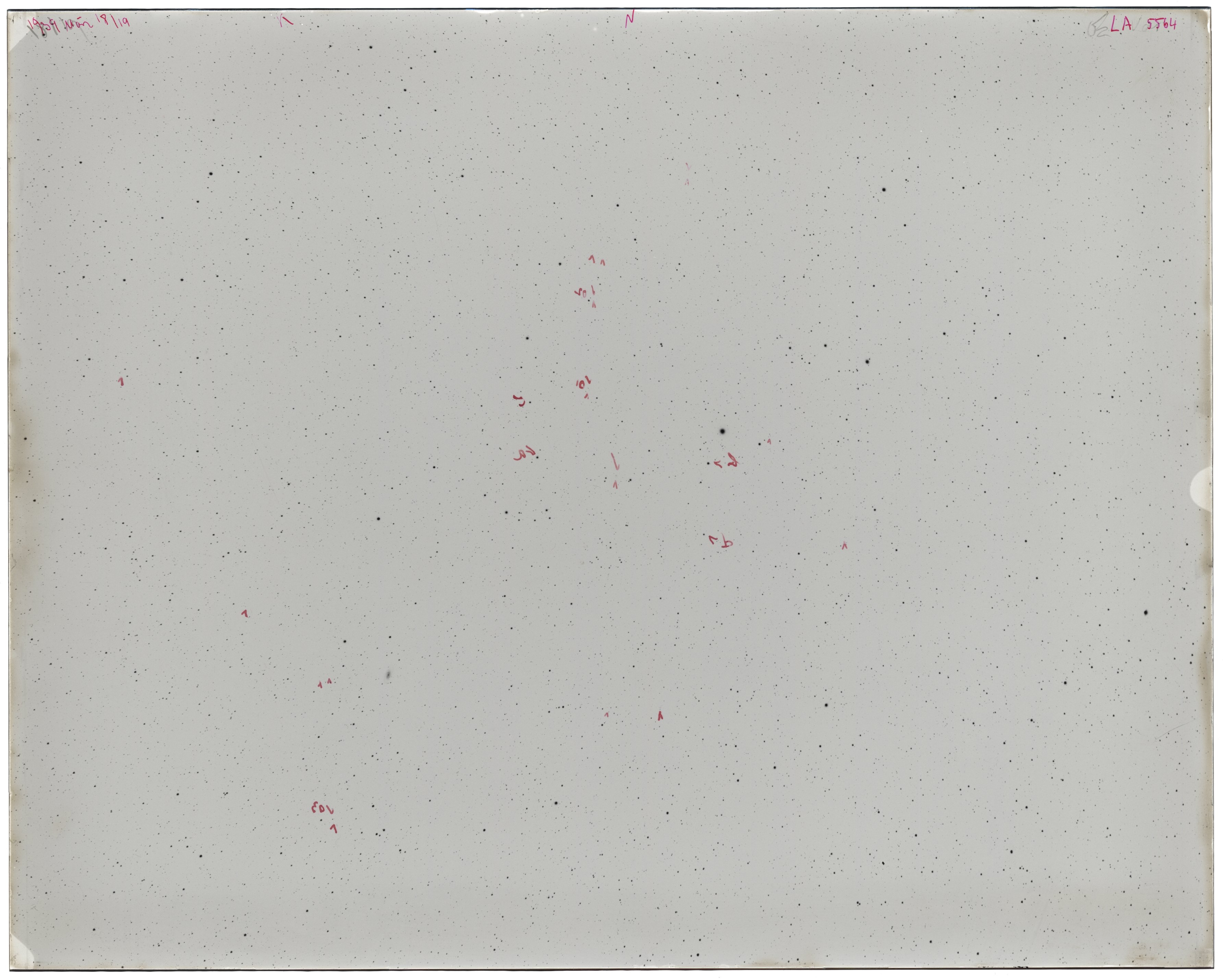 Scan LA05564