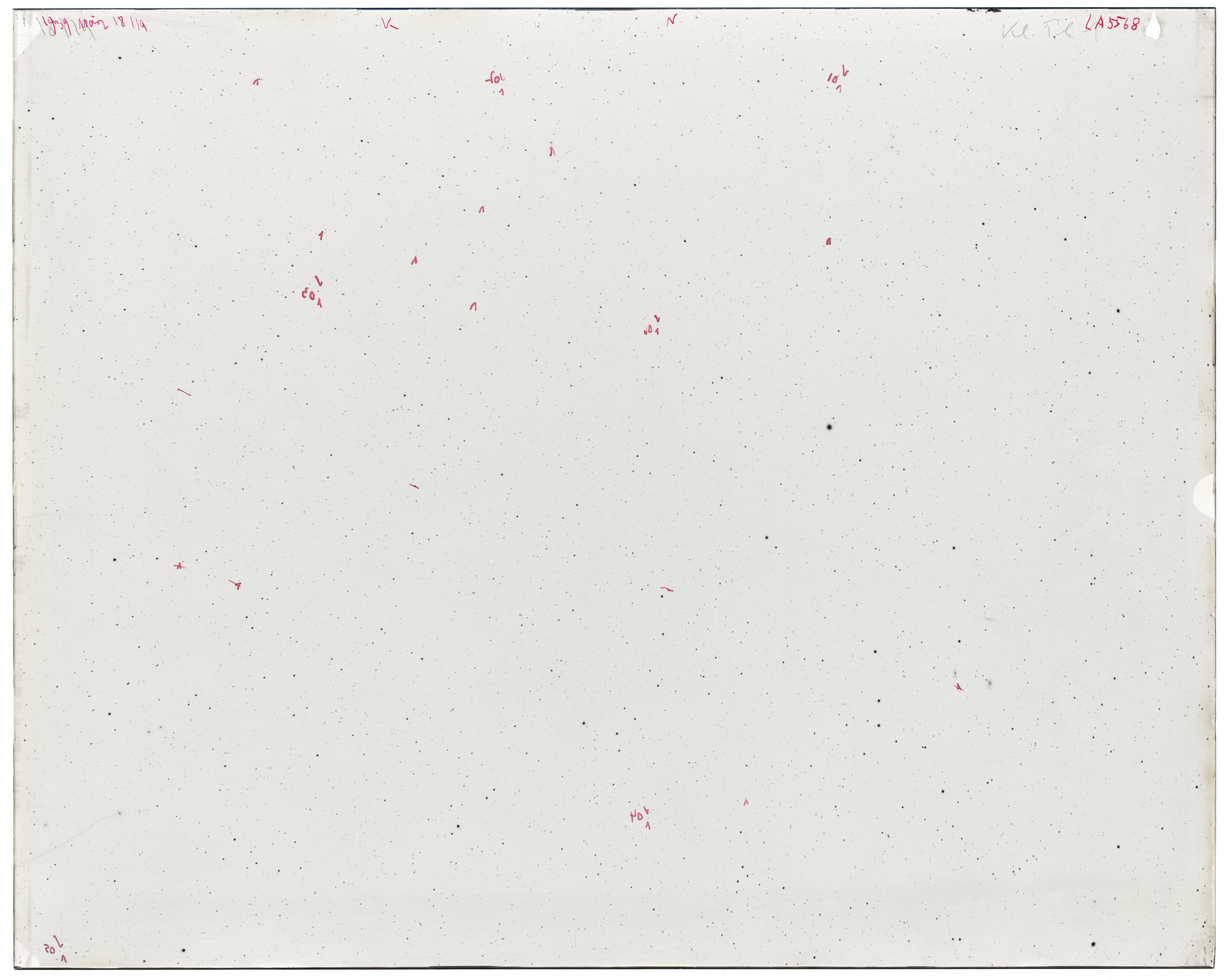 Scan LA05568