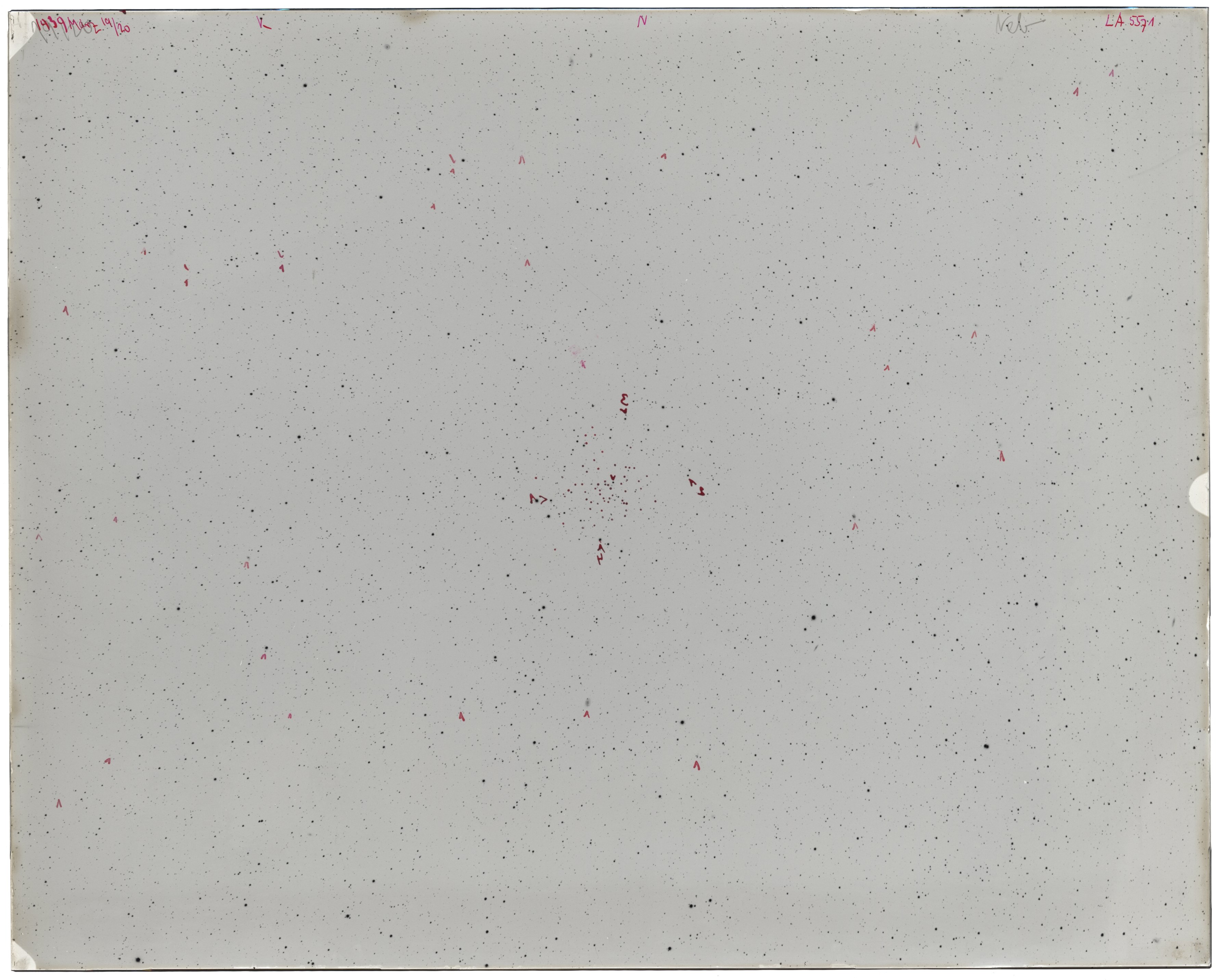 Scan LA05571