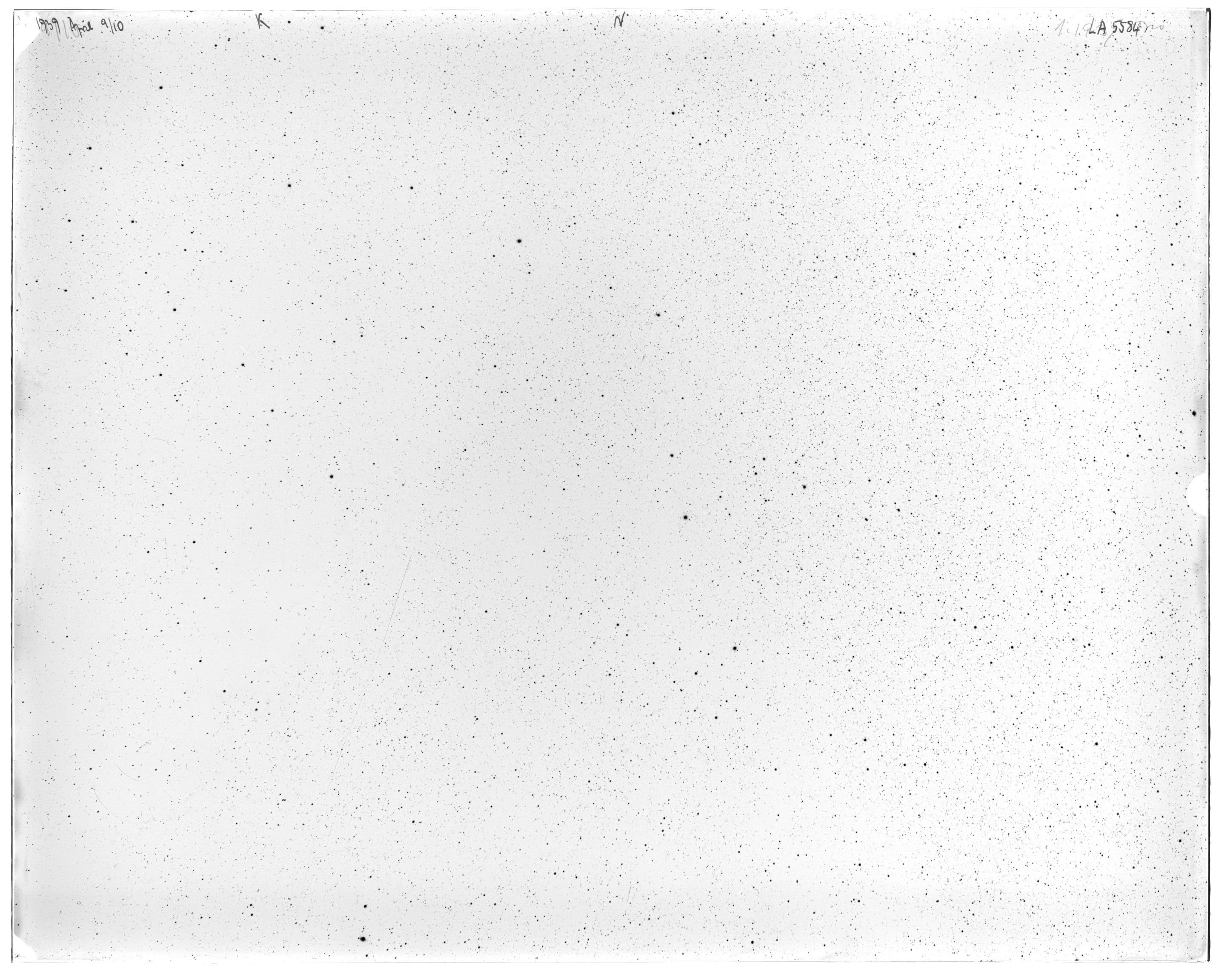 Scan LA05584