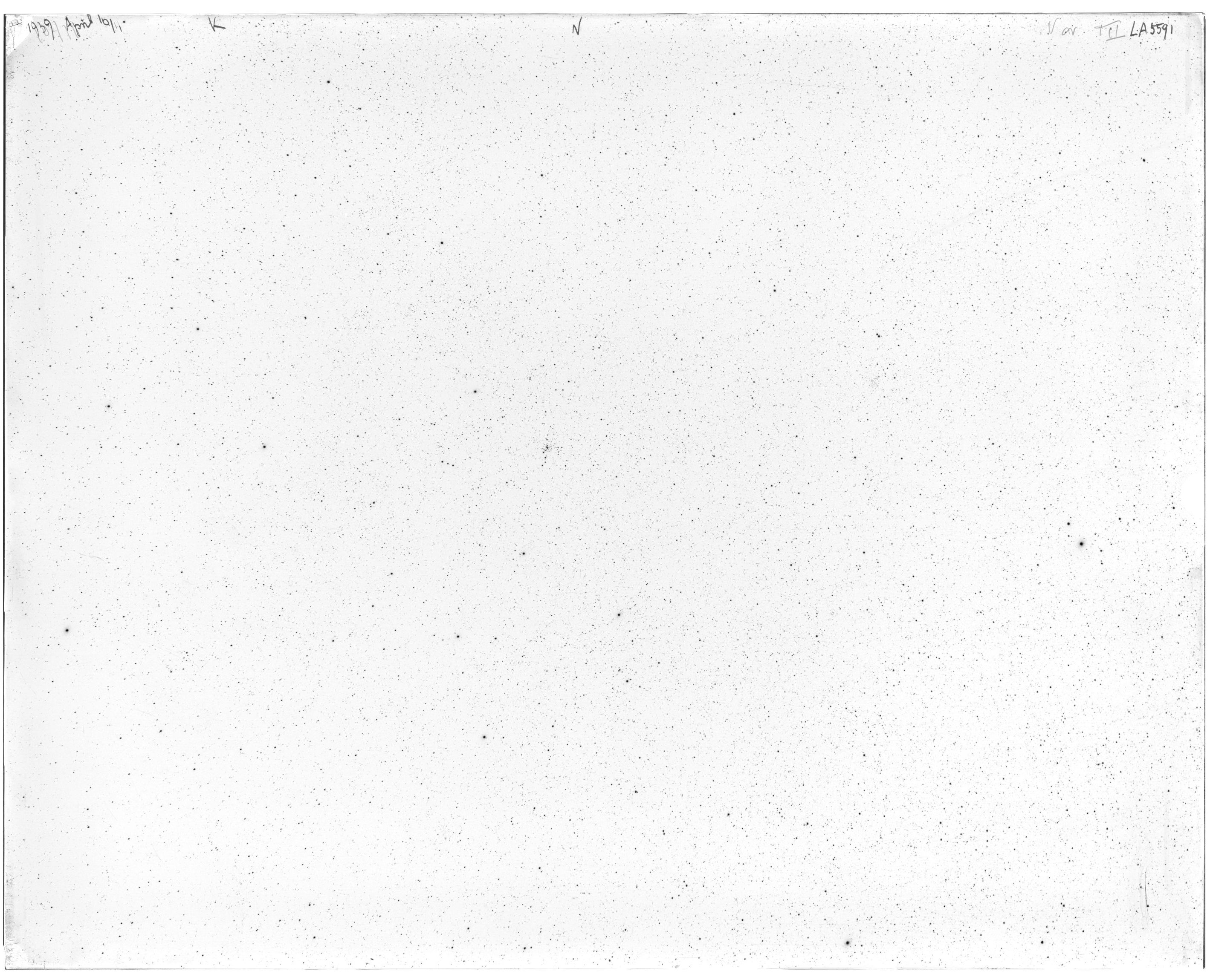 Scan LA05591