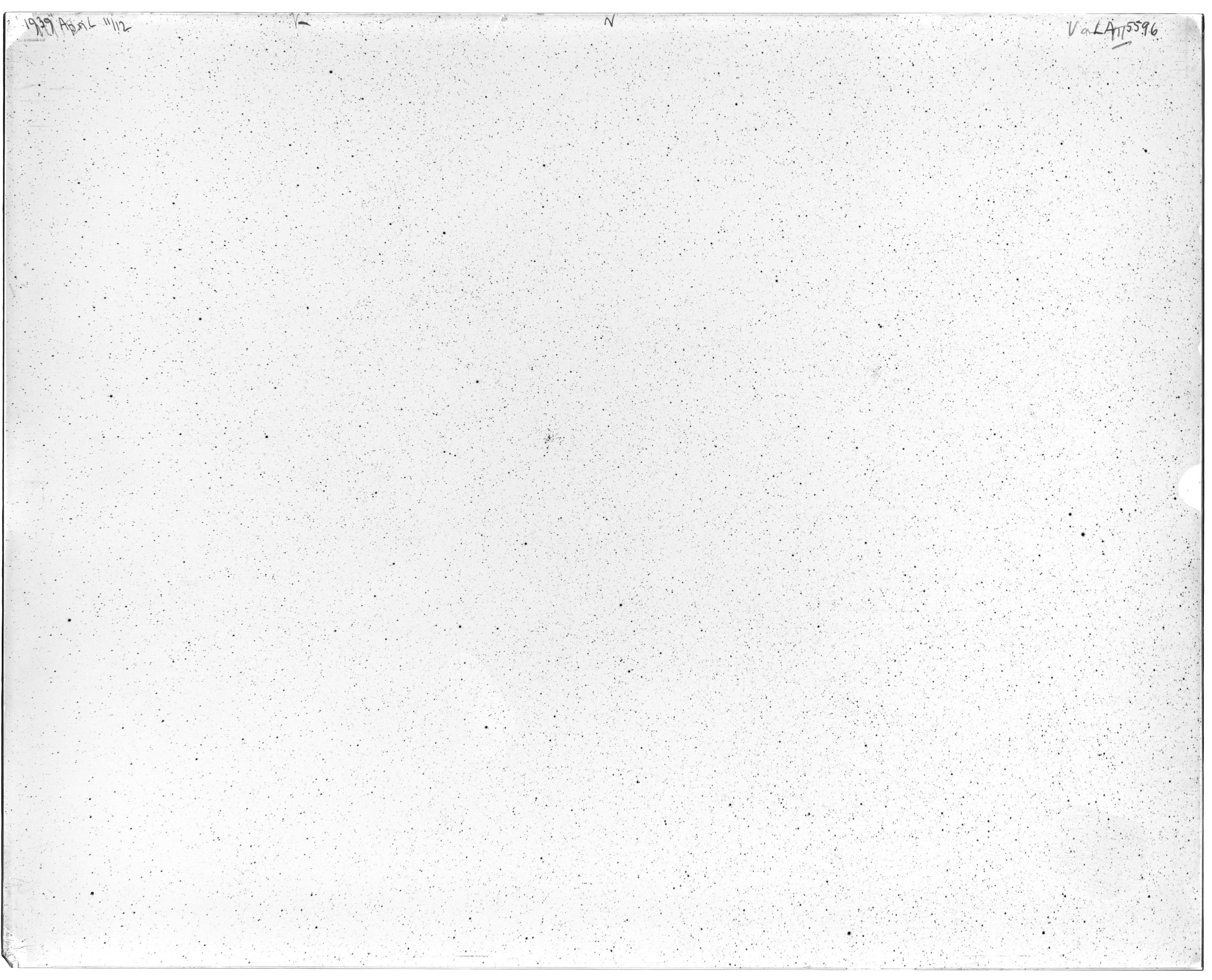 Scan LA05596
