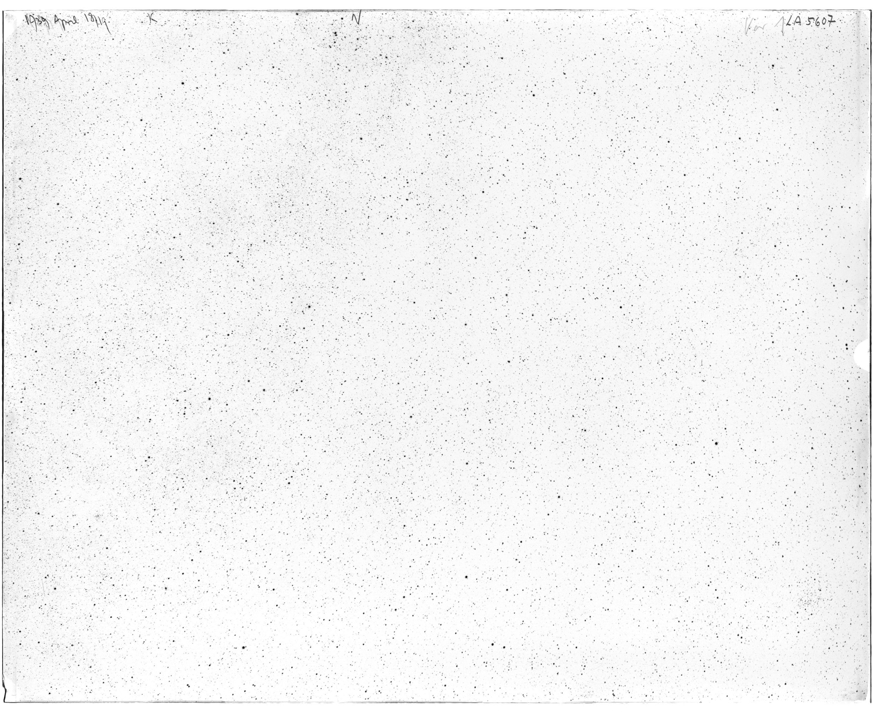Scan LA05607