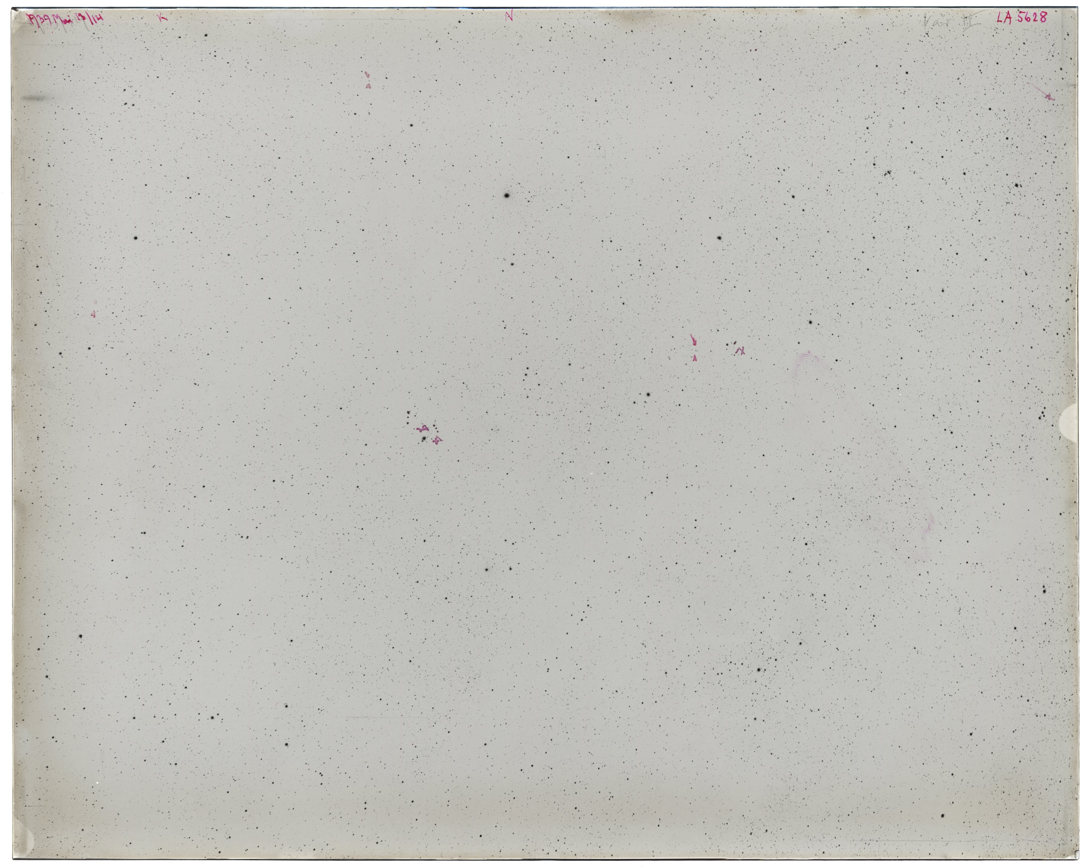 Scan LA05628
