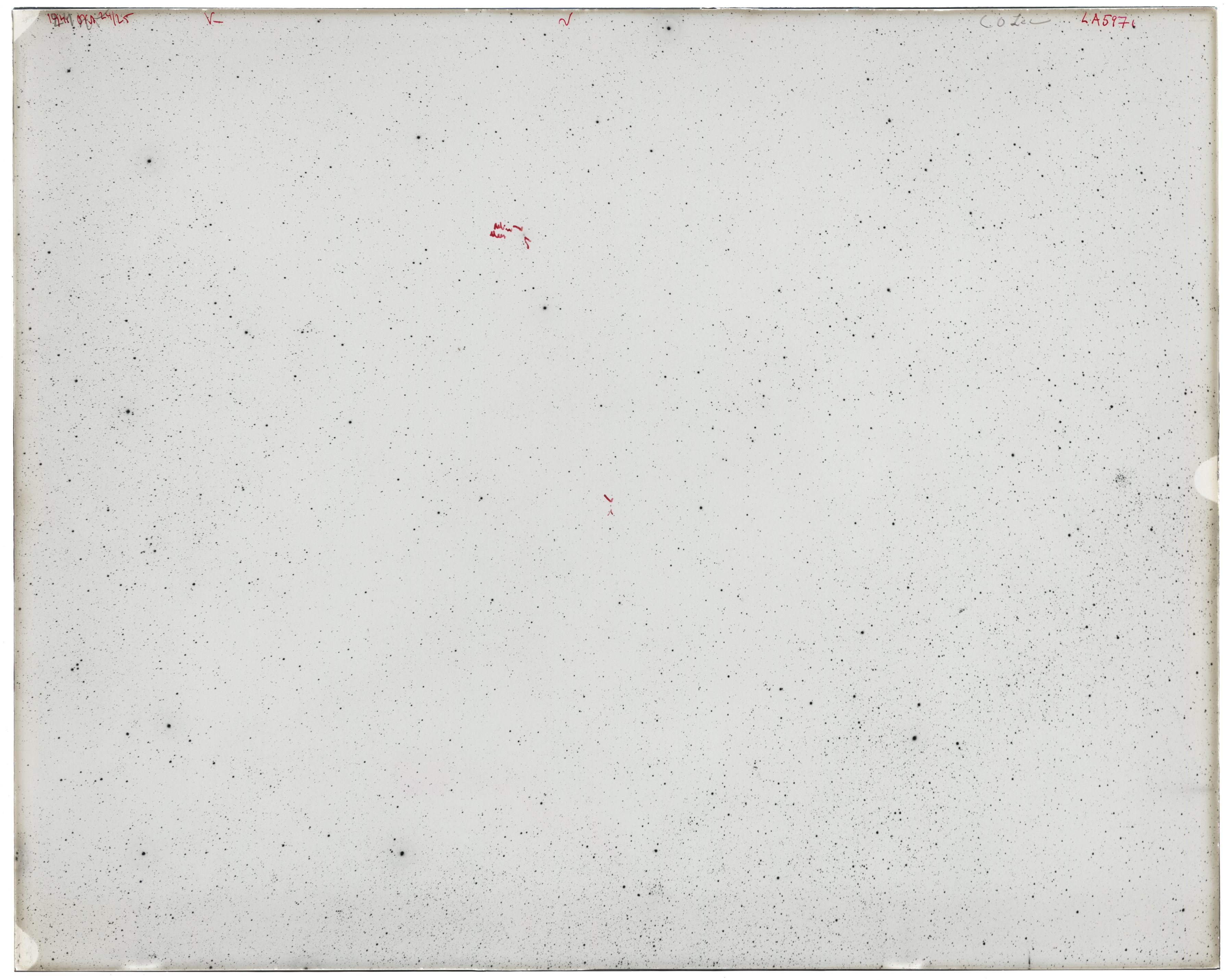 Scan LA05971