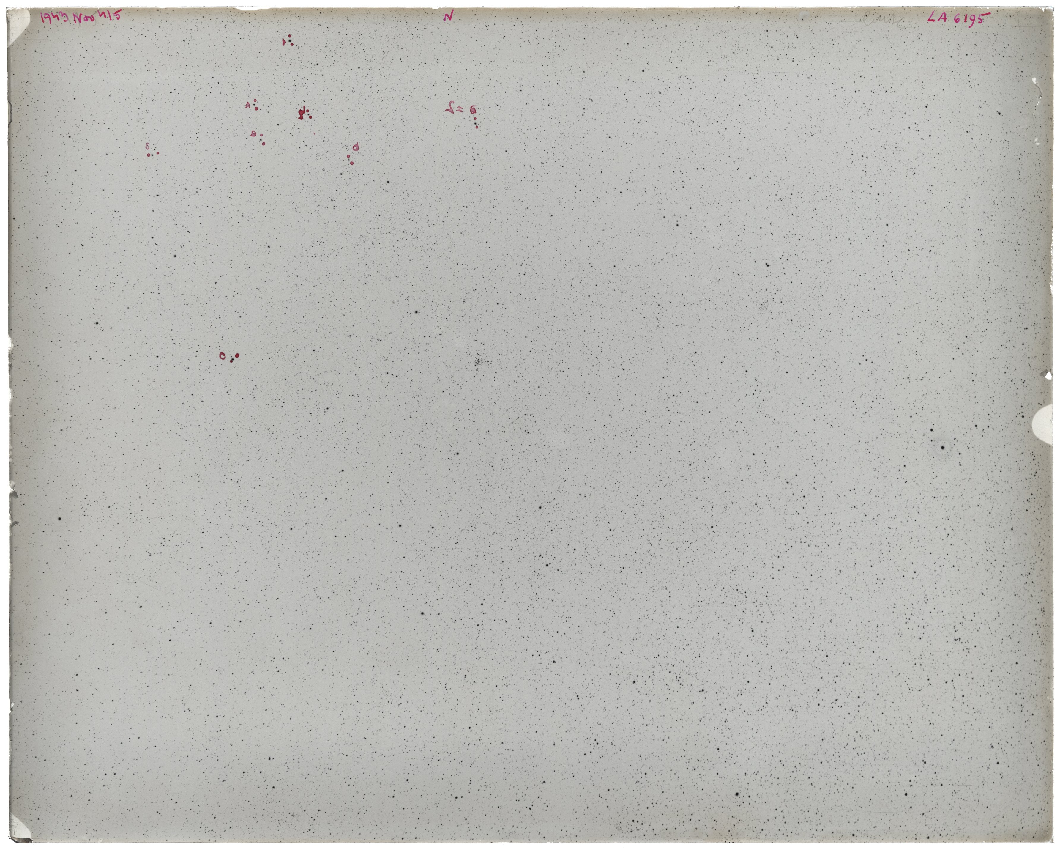 Scan LA06195