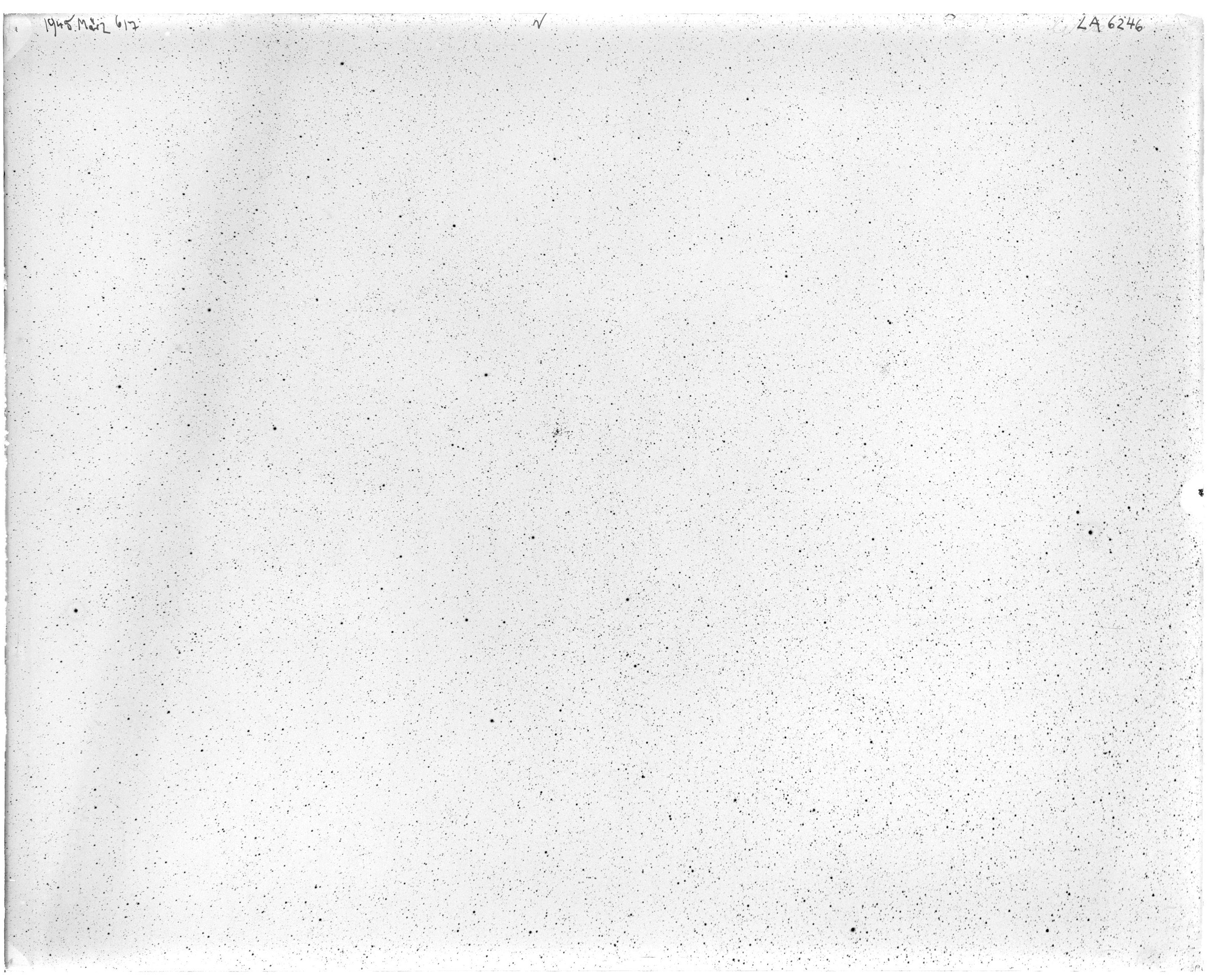 Scan LA06246