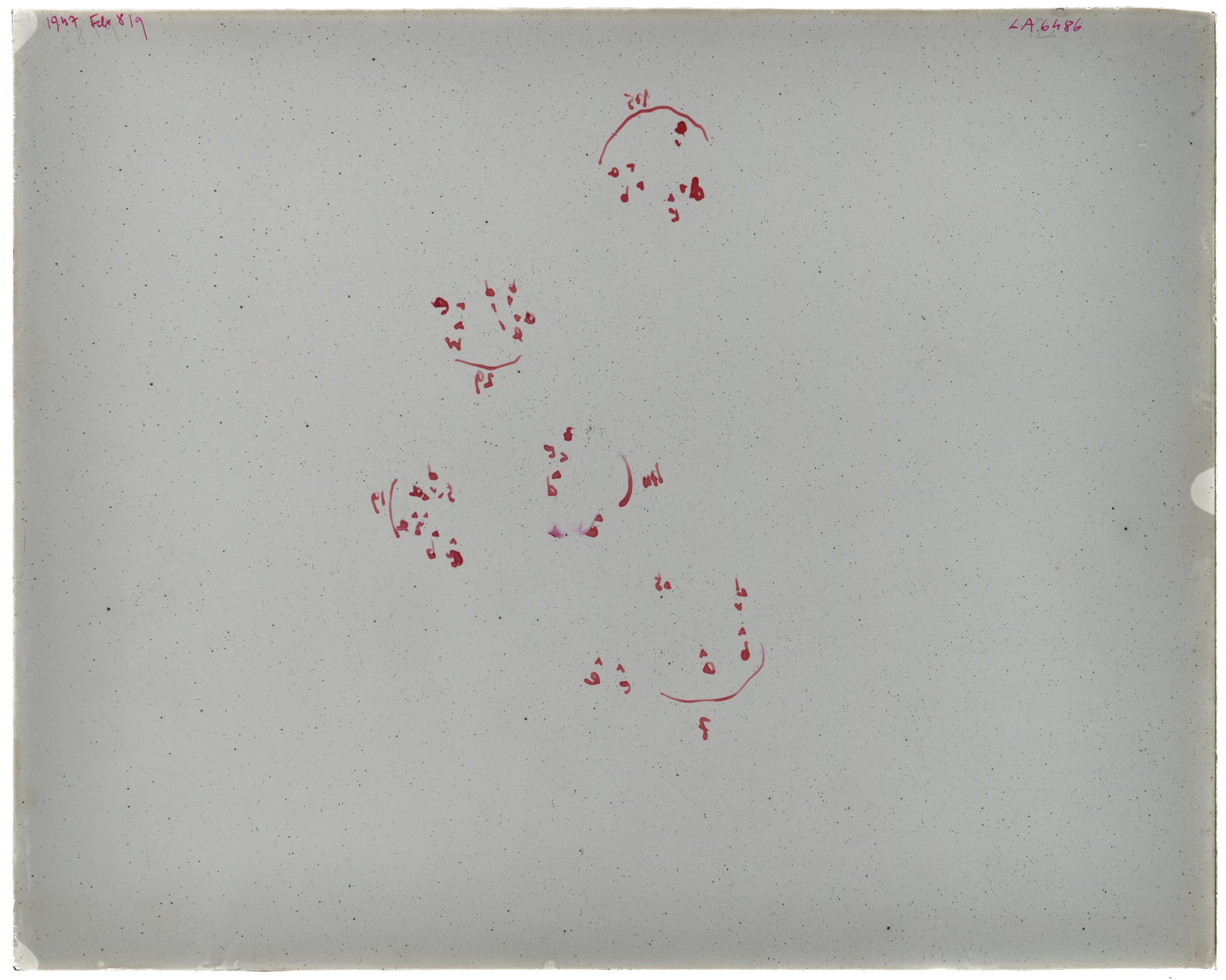 Scan LA06486
