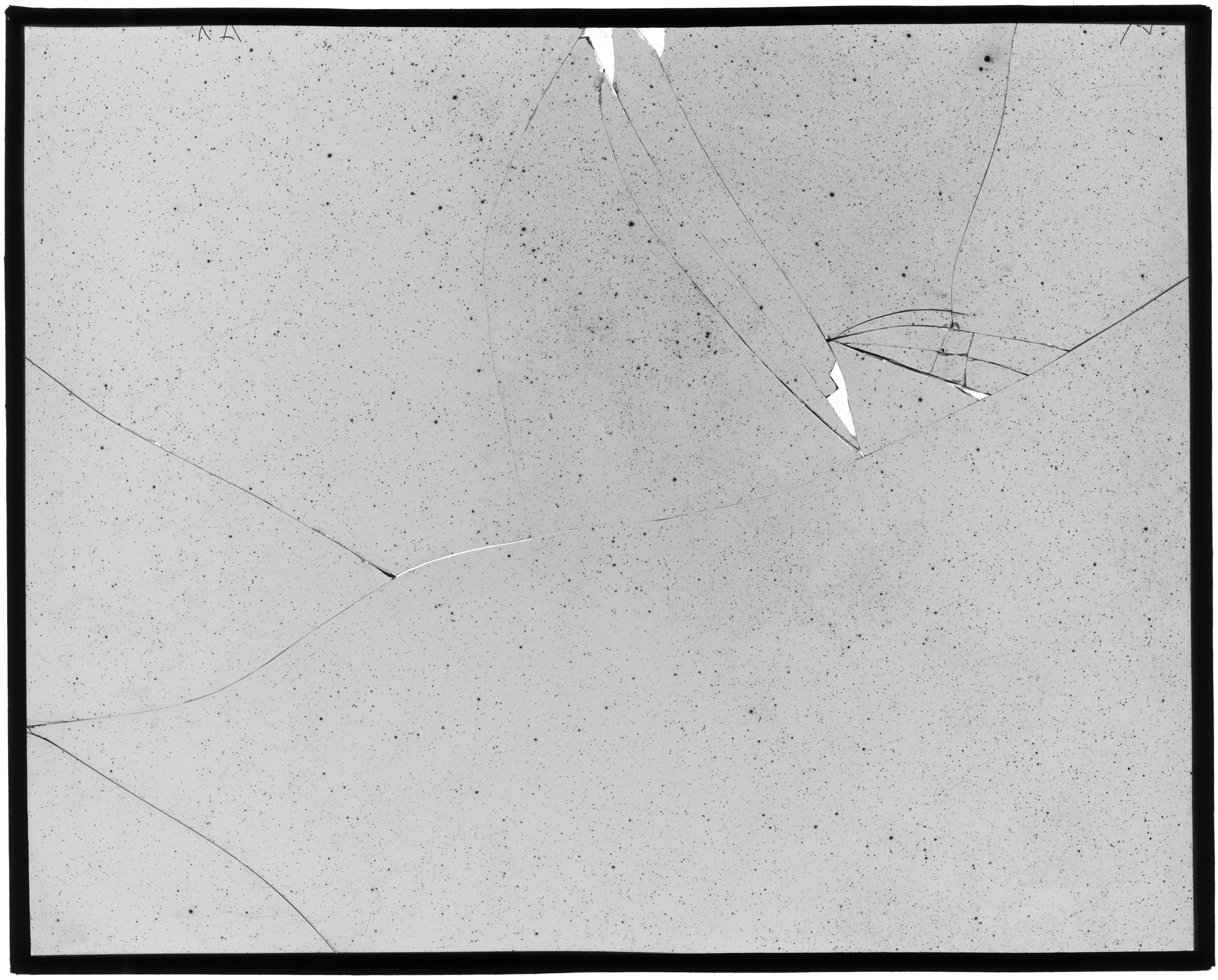 Scan LA07030
