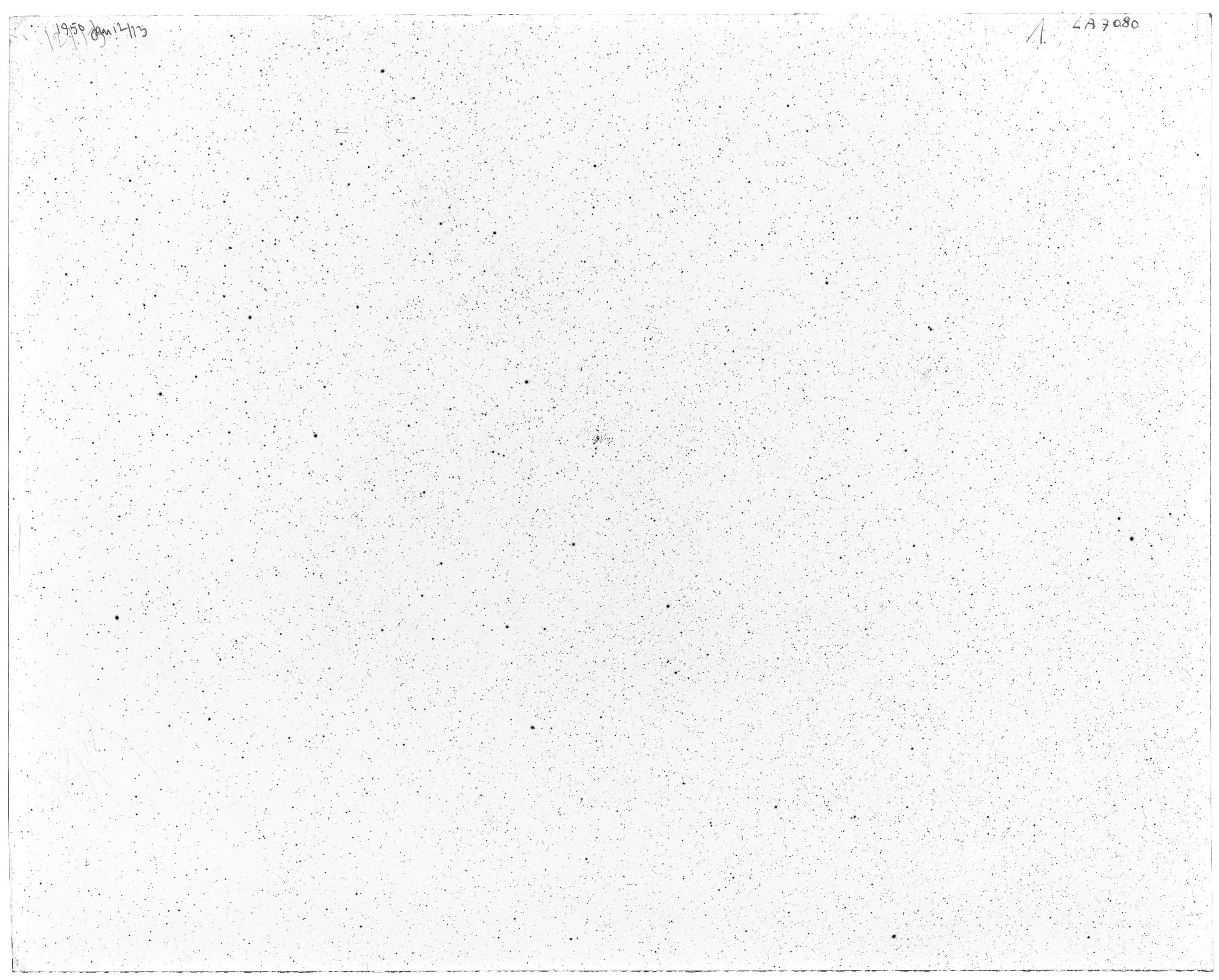 Scan LA07080