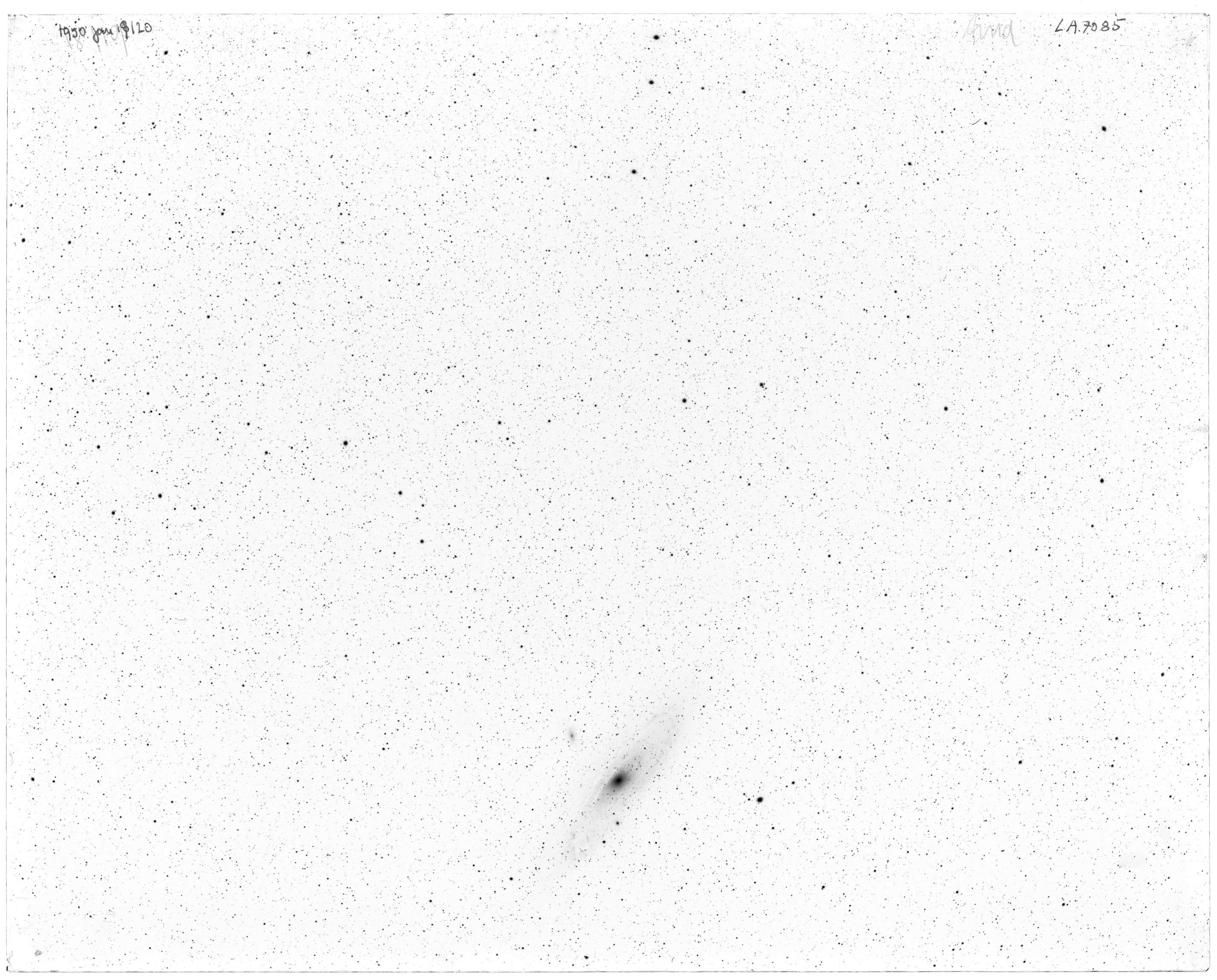 Scan LA07085
