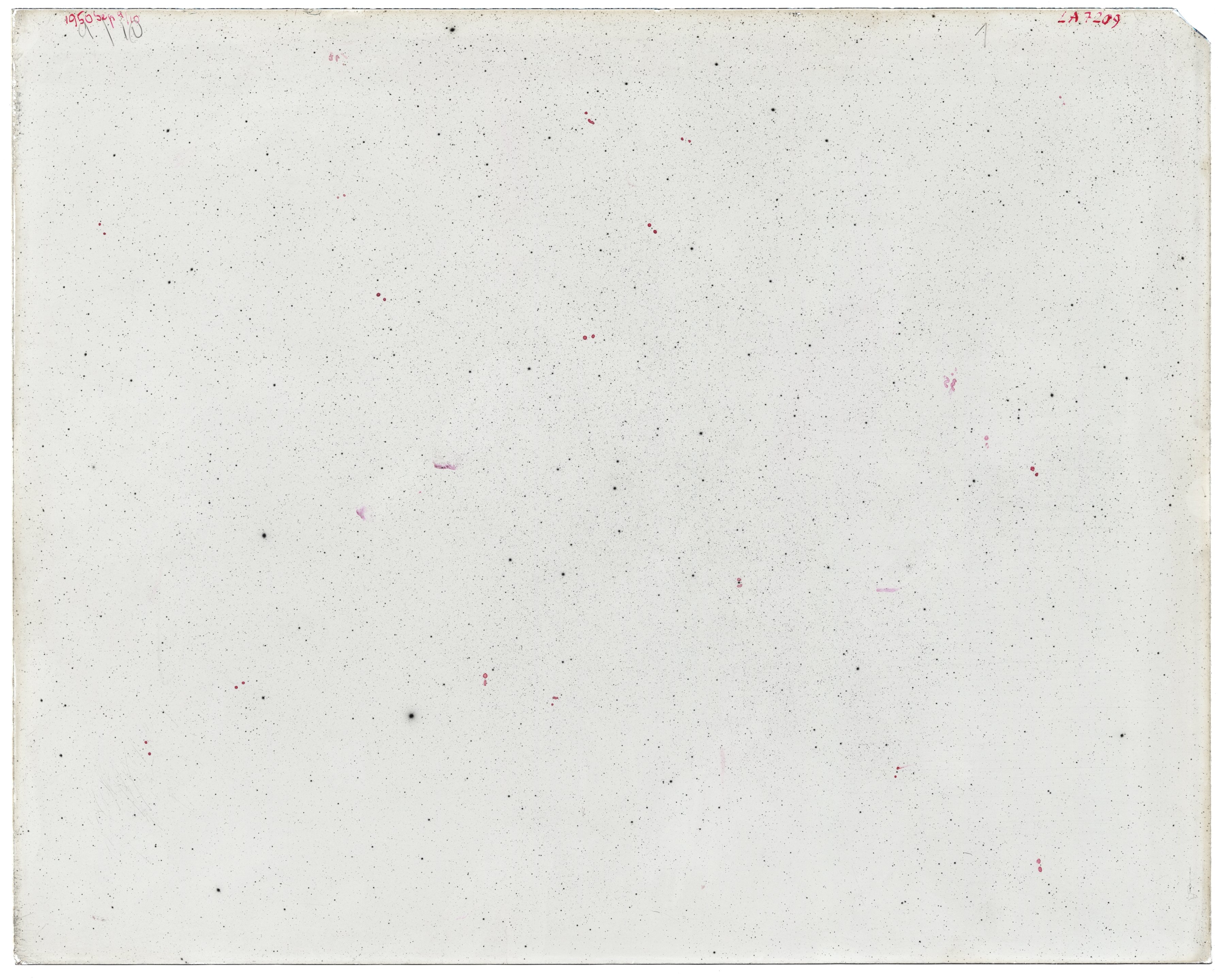 Scan LA07209
