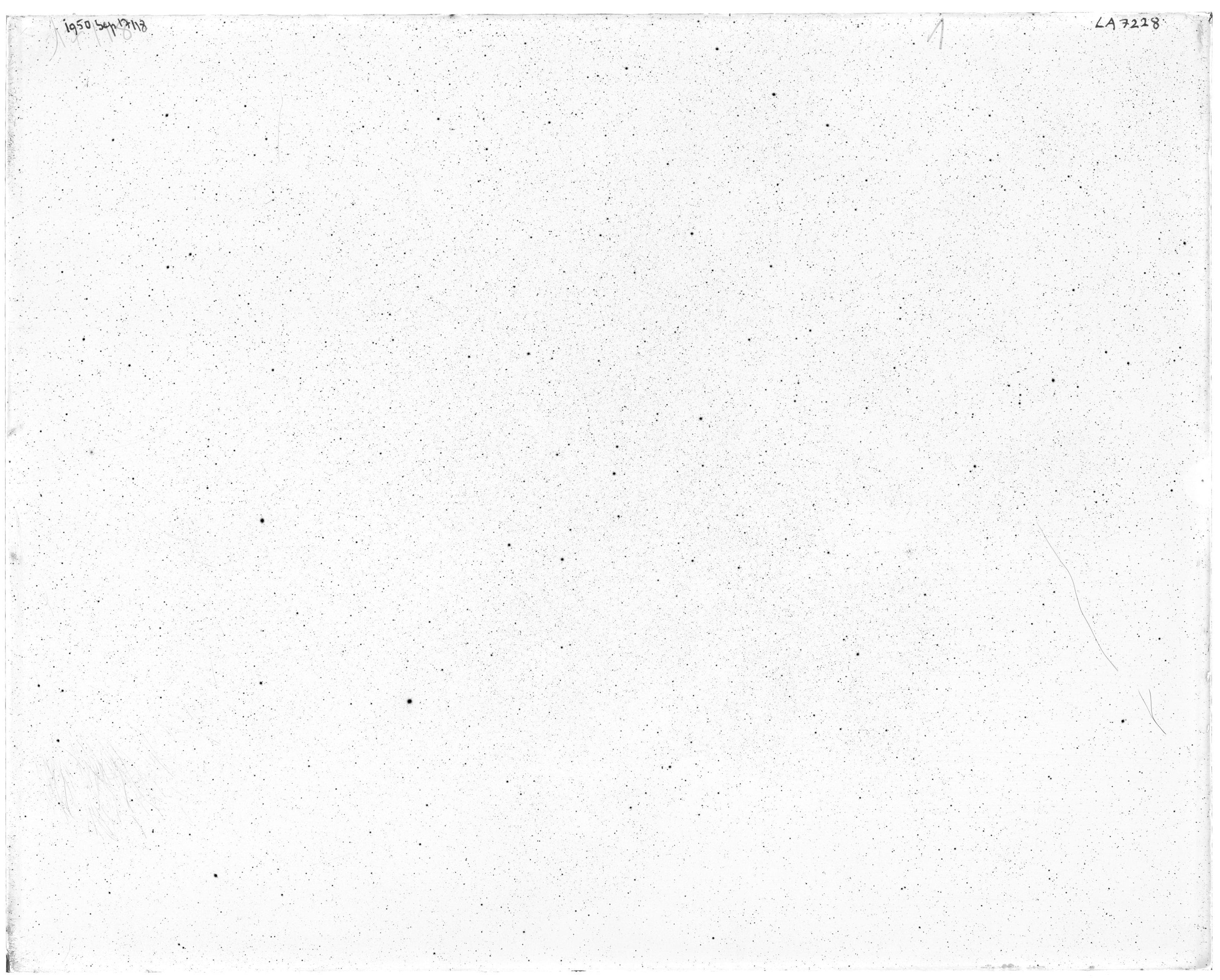 Scan LA07228