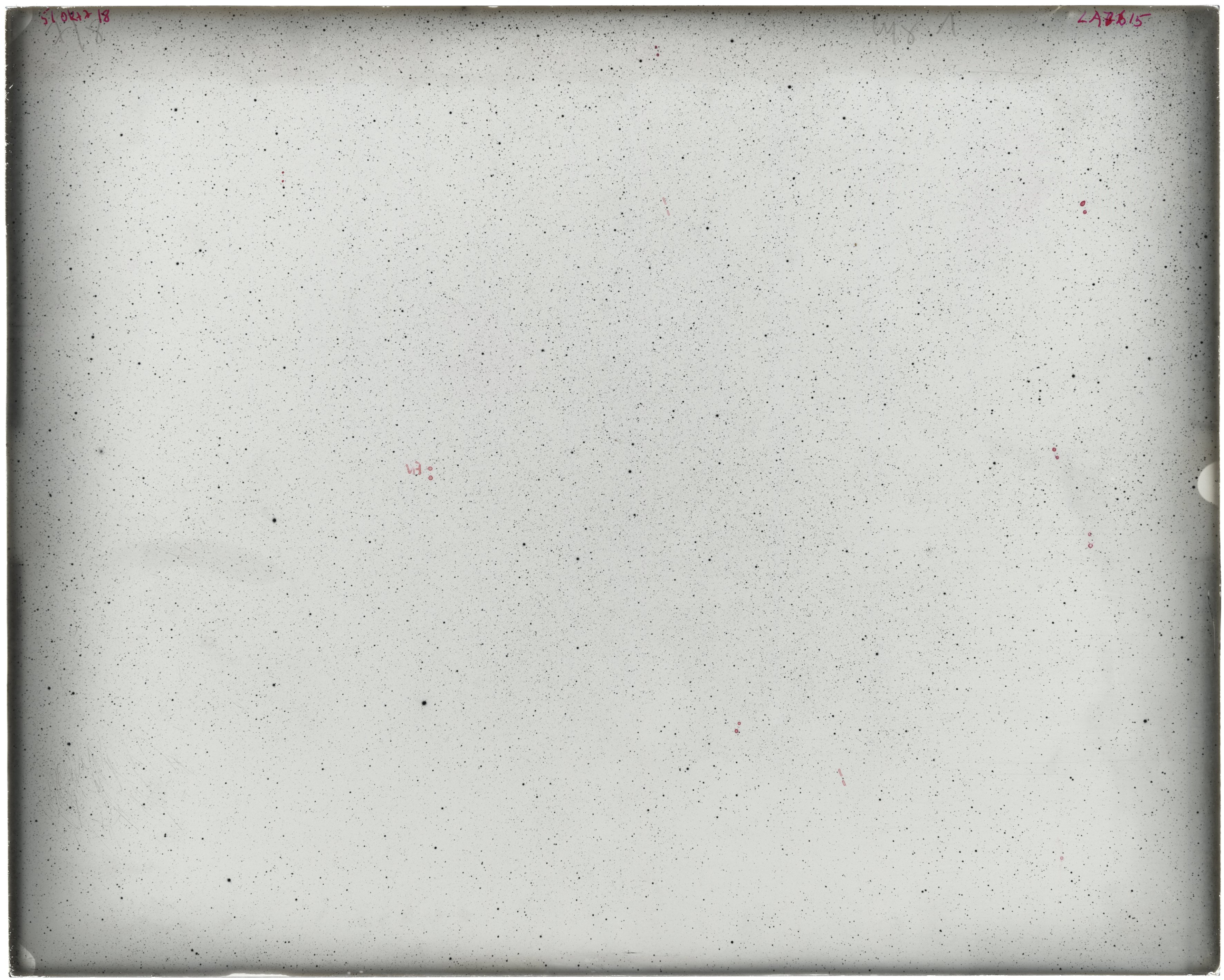 Scan LA07615