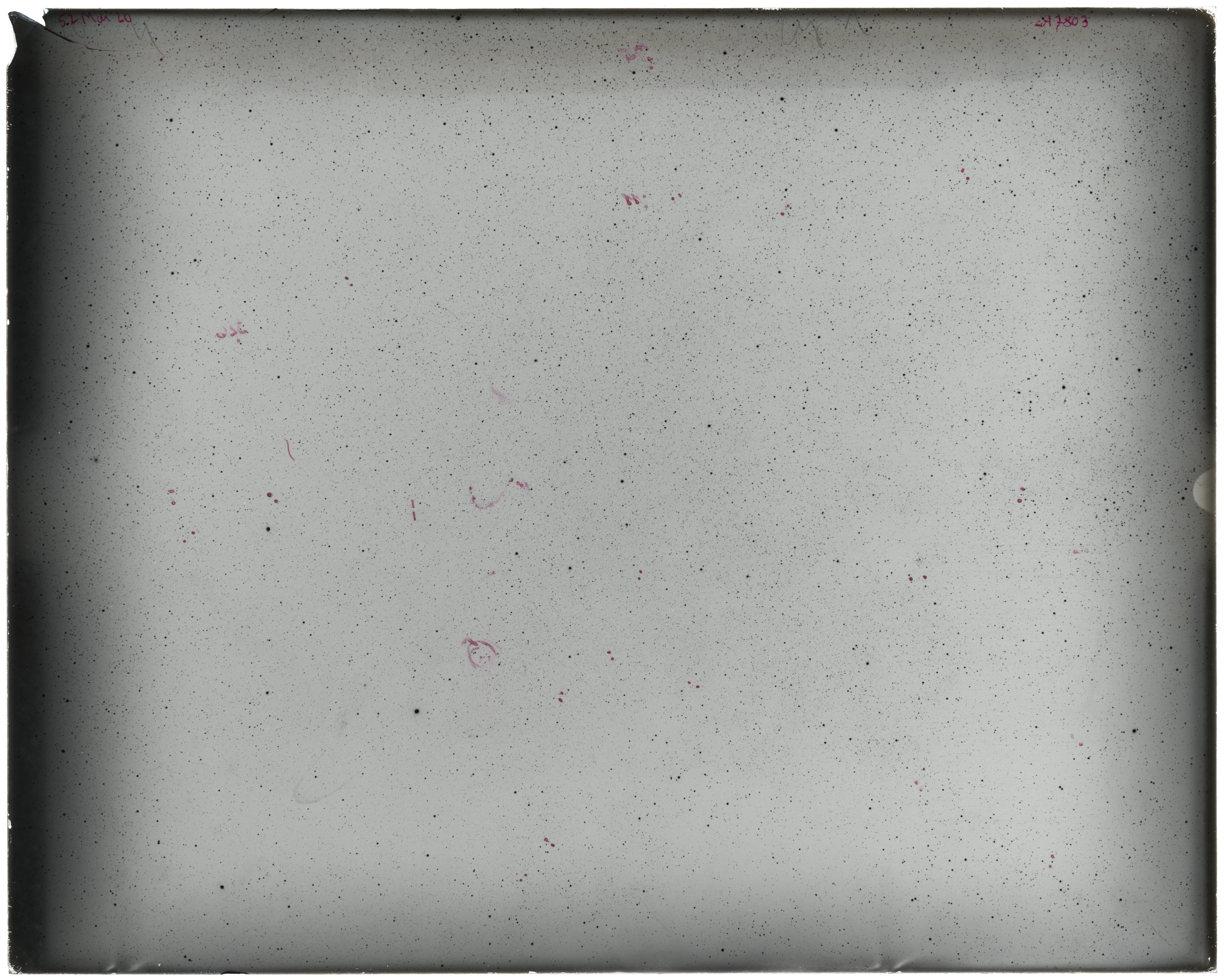 Scan LA07803