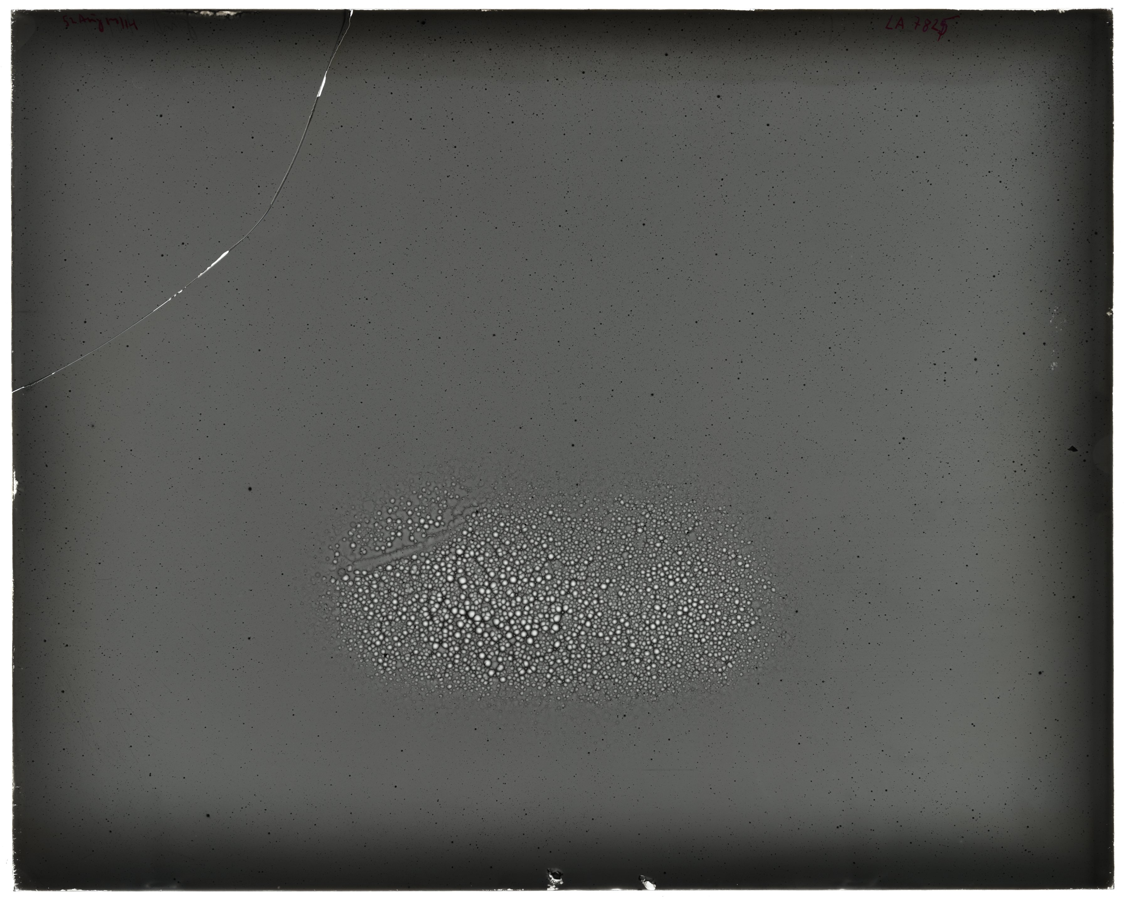 Scan LA07825