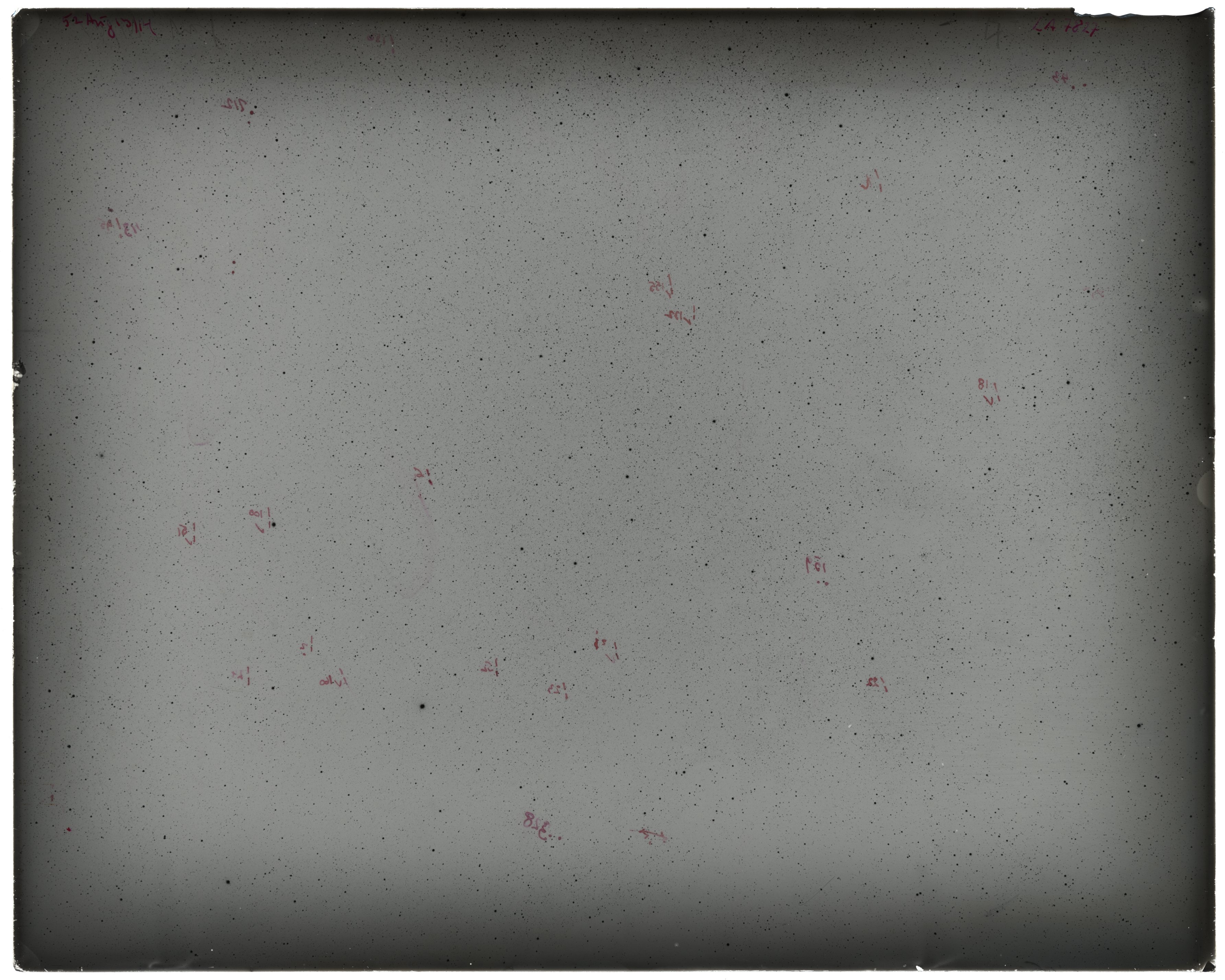 Scan LA07827