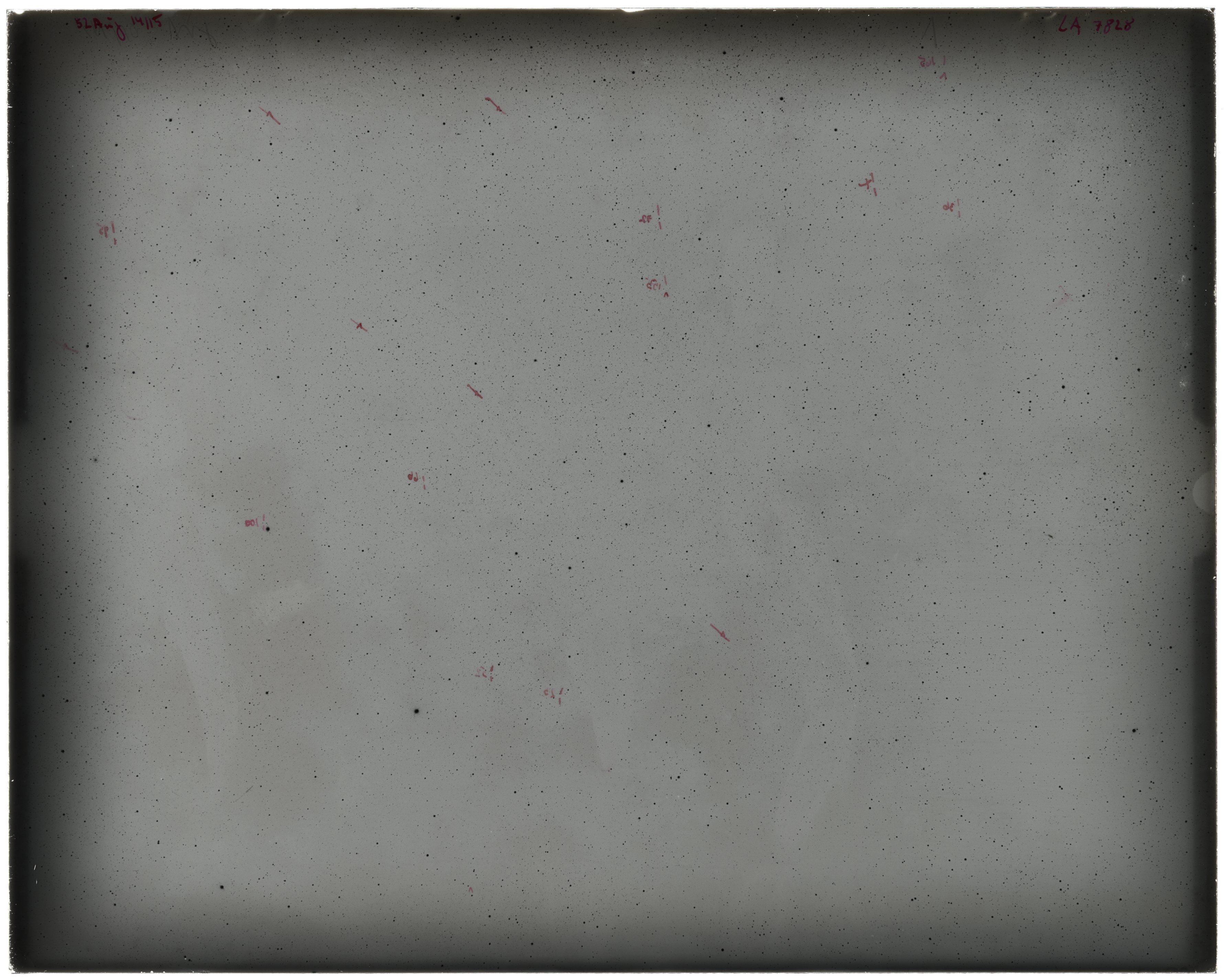 Scan LA07828