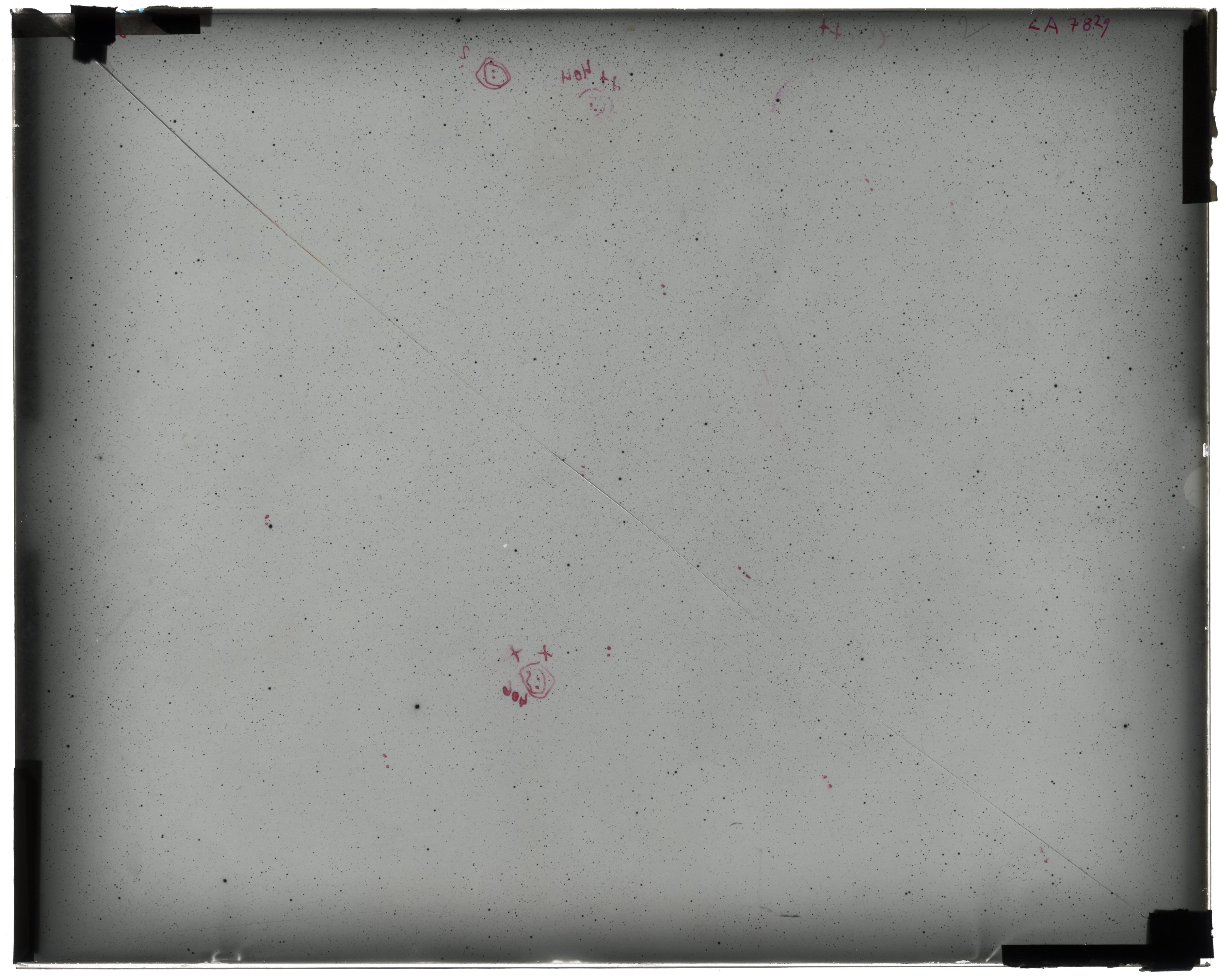 Scan LA07829
